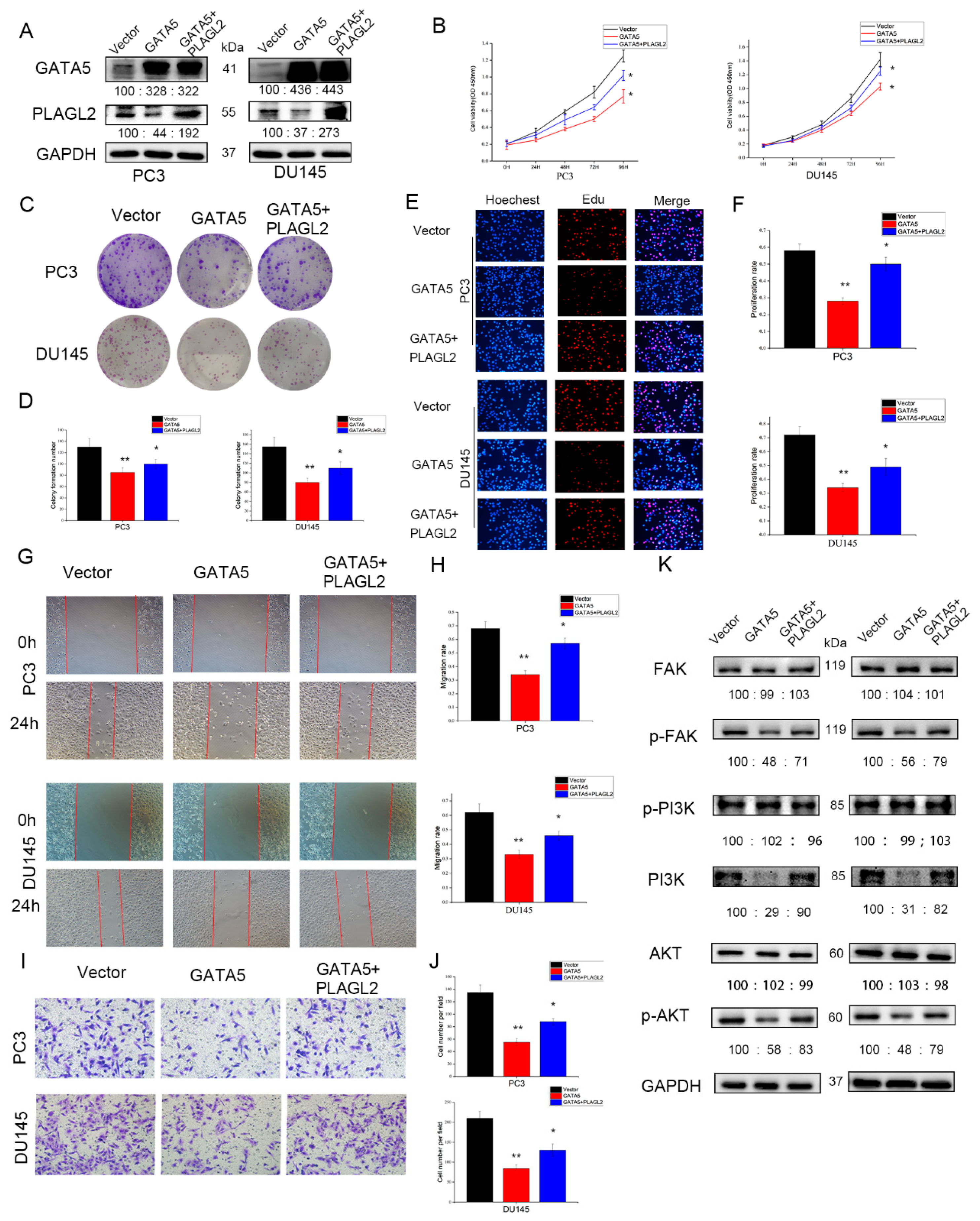 Cancers 14 02074 g008 550