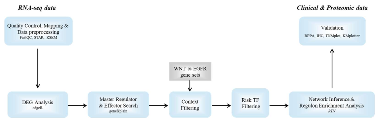 Cancers 14 02084 g002