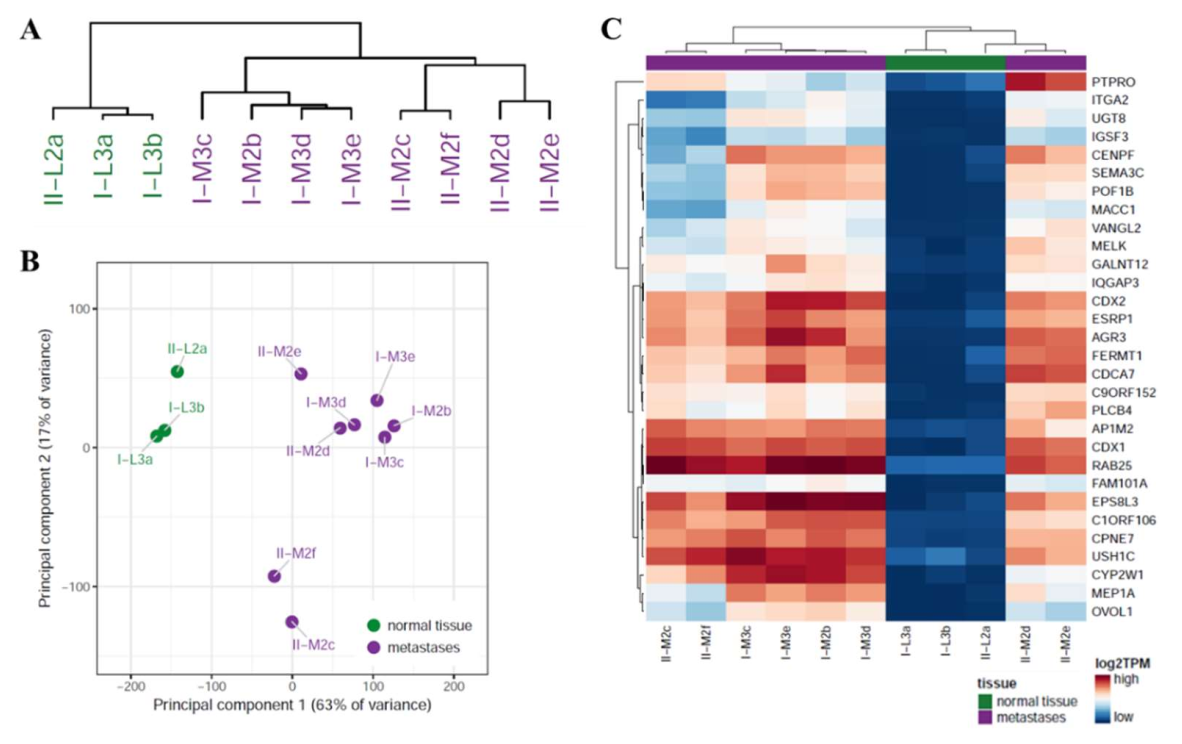 Cancers 14 02084 g003
