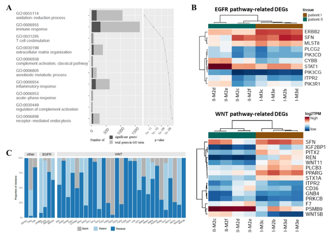 Cancers 14 02084 g004