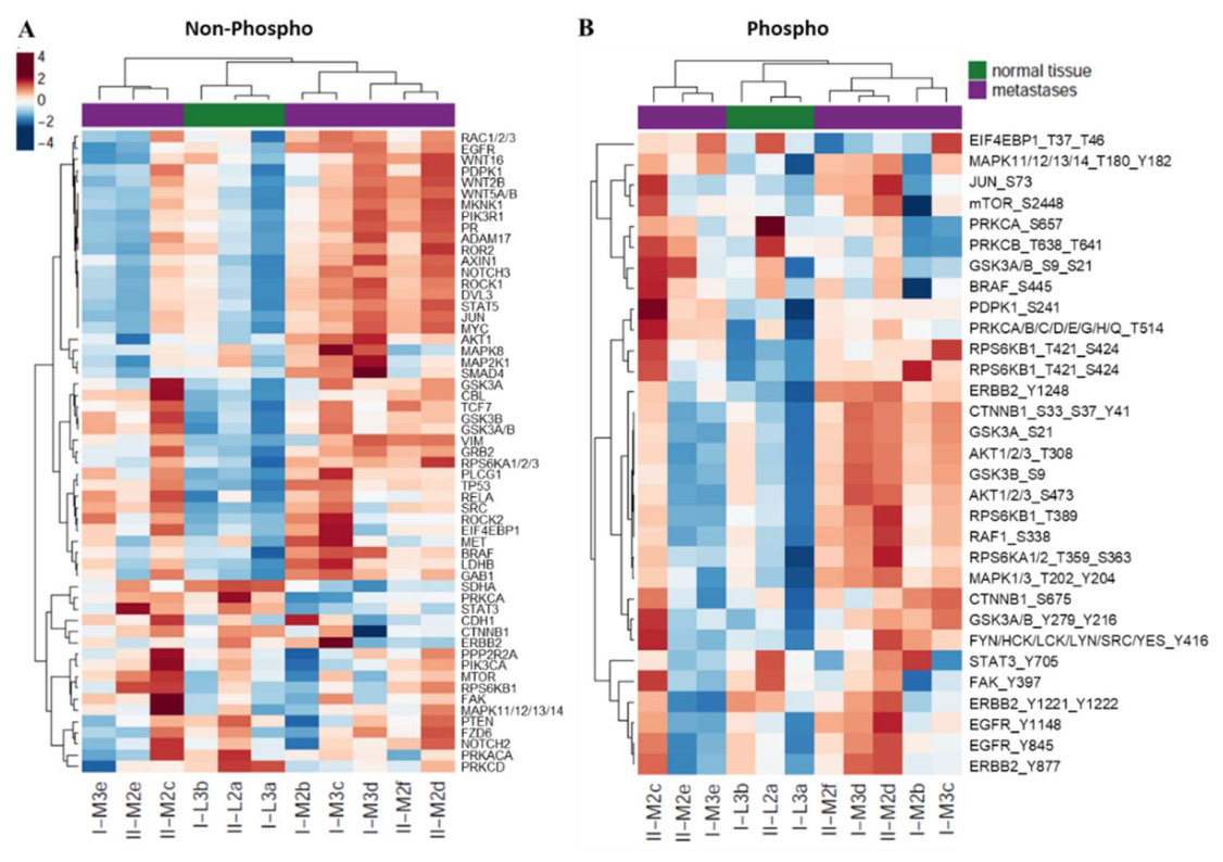 Cancers 14 02084 g005