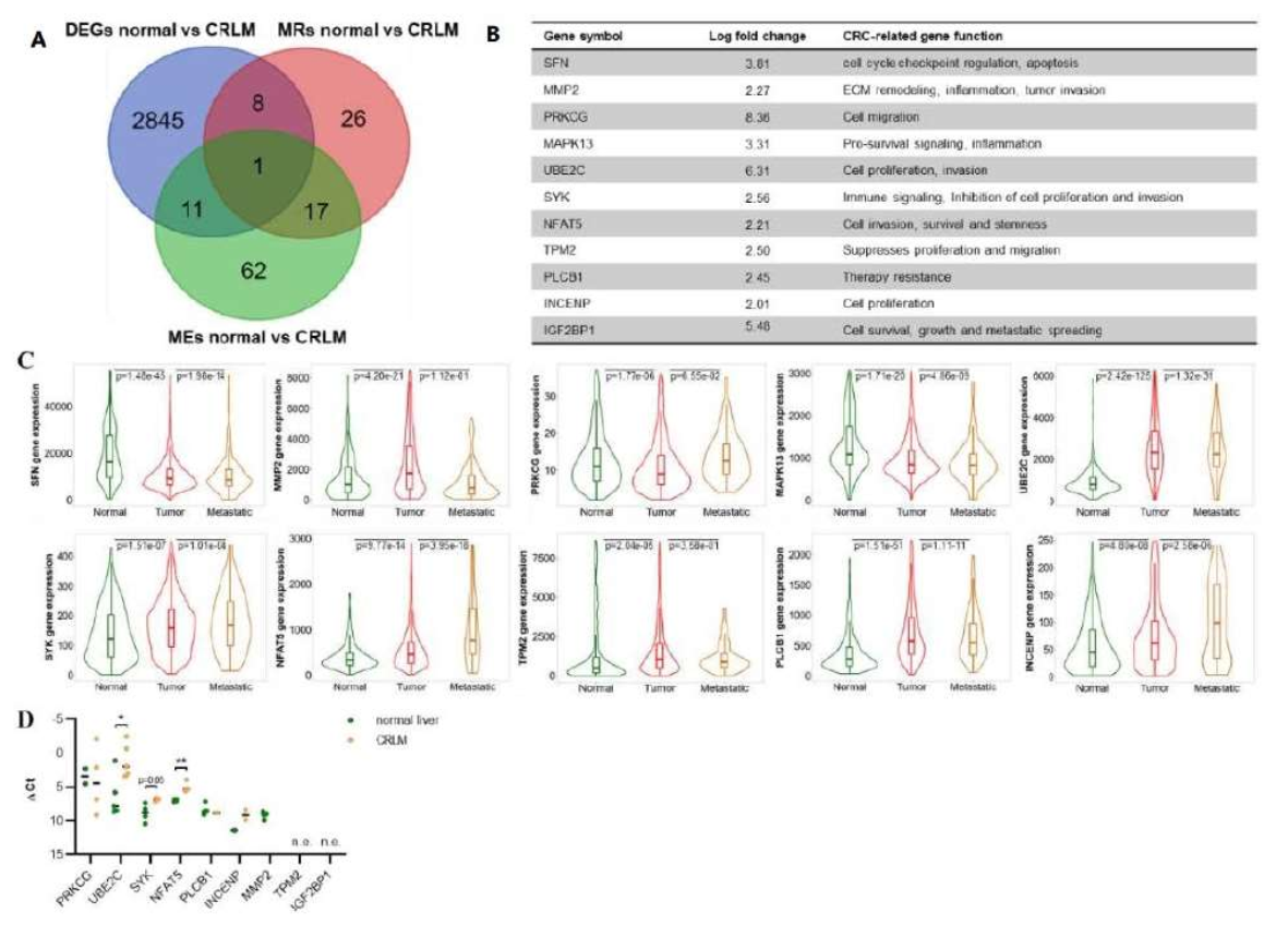 Cancers 14 02084 g006
