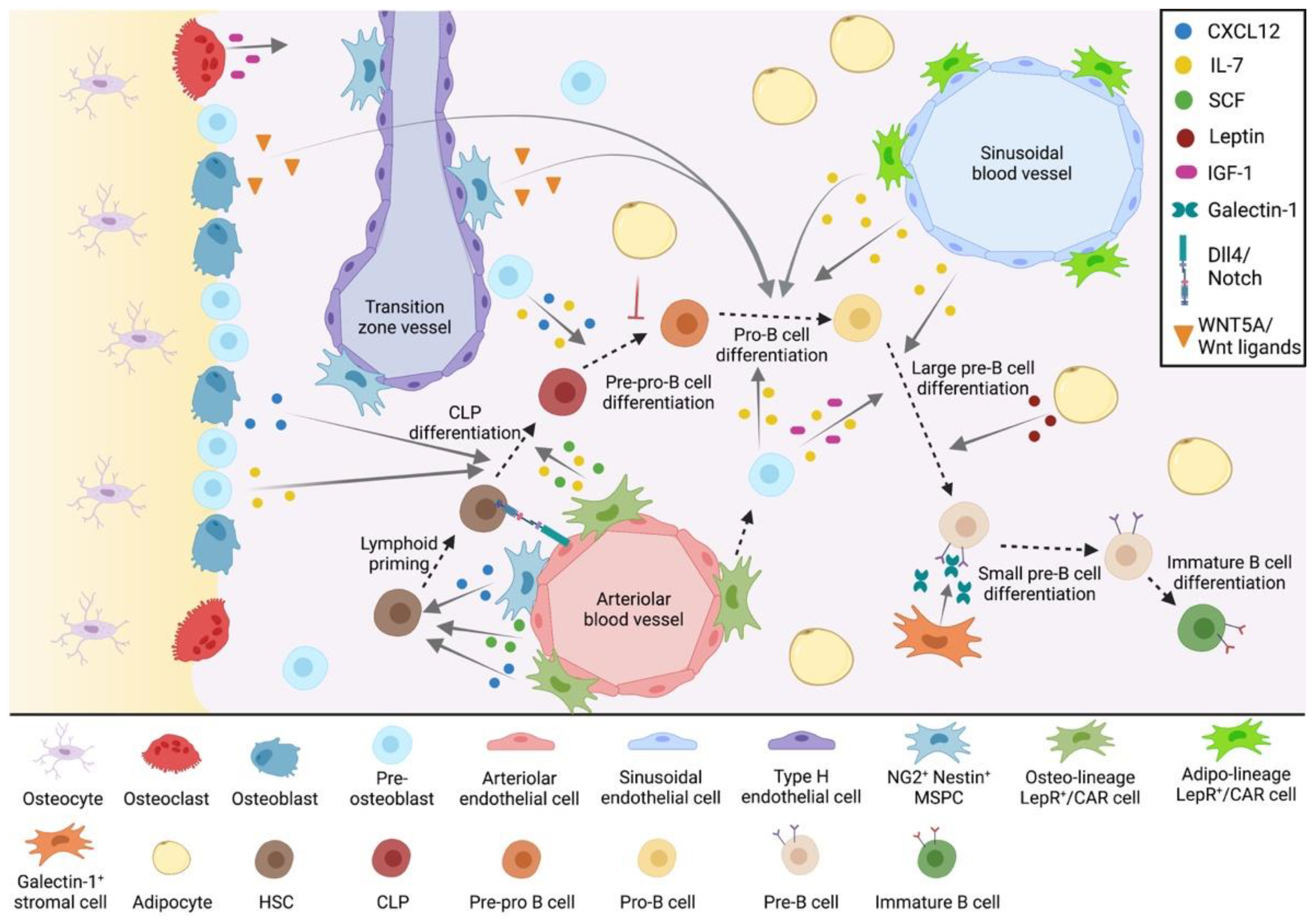 Cancers 14 02089 g001