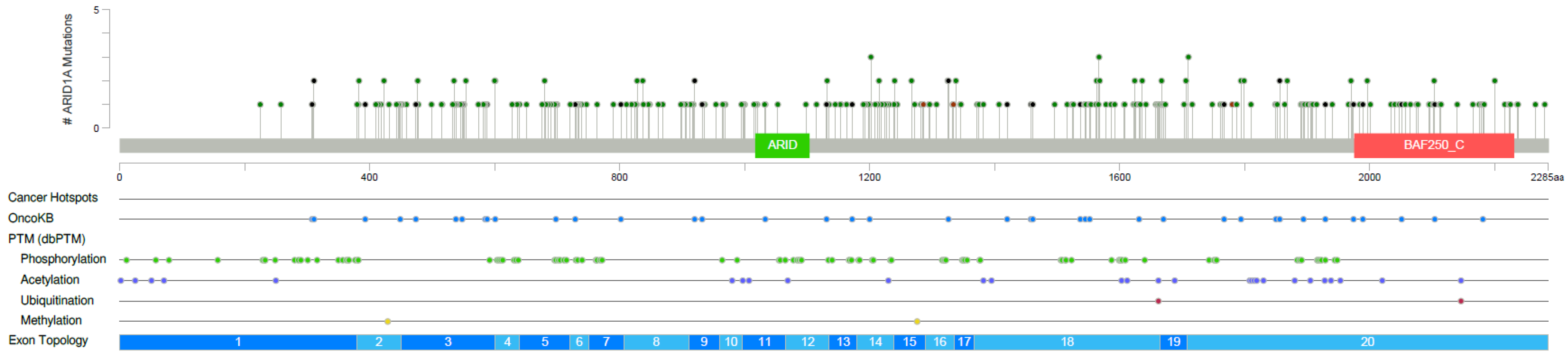 Cancers 14 02090 g004 550