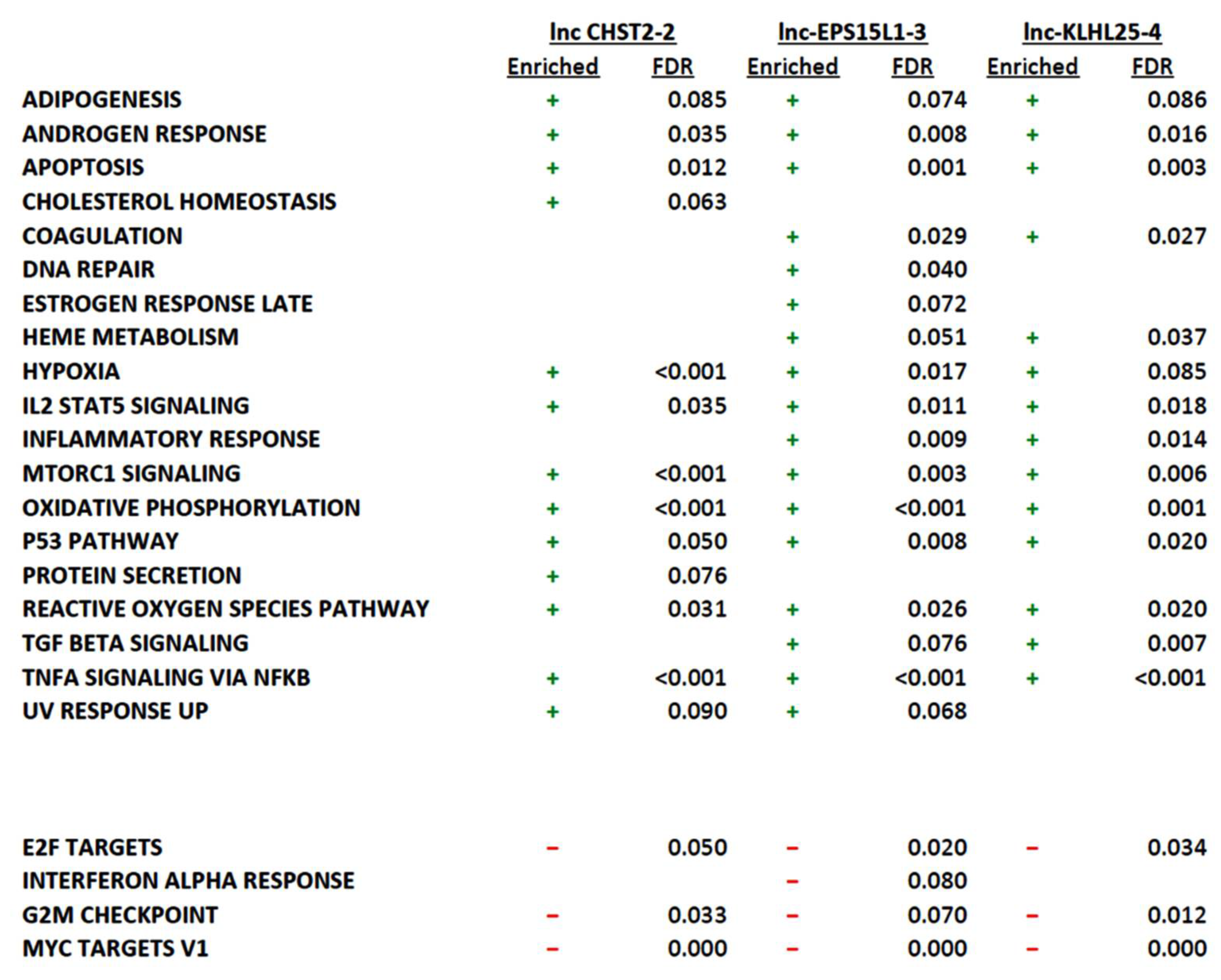Cancers 14 02098 g006