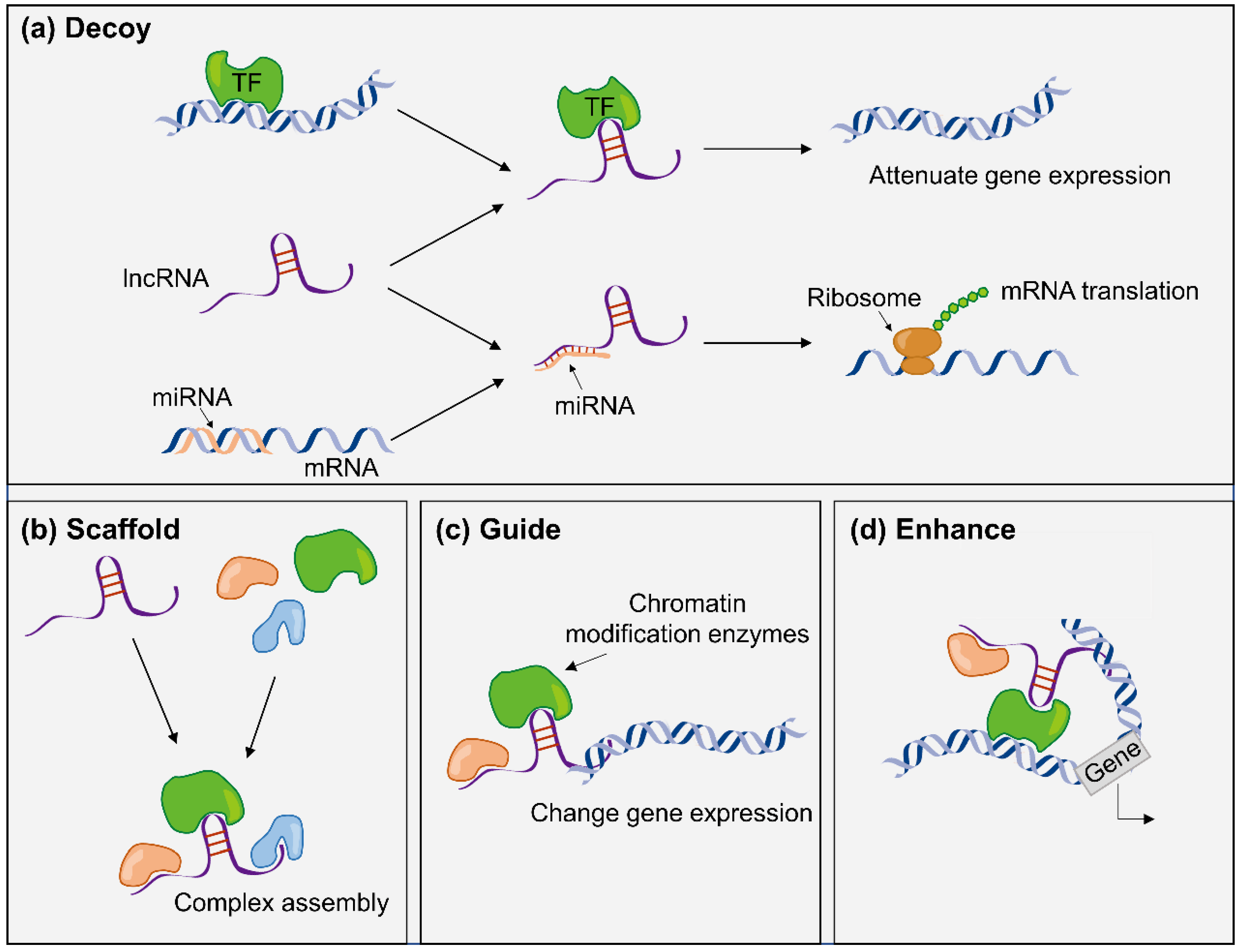 Cancers 14 02101 g002