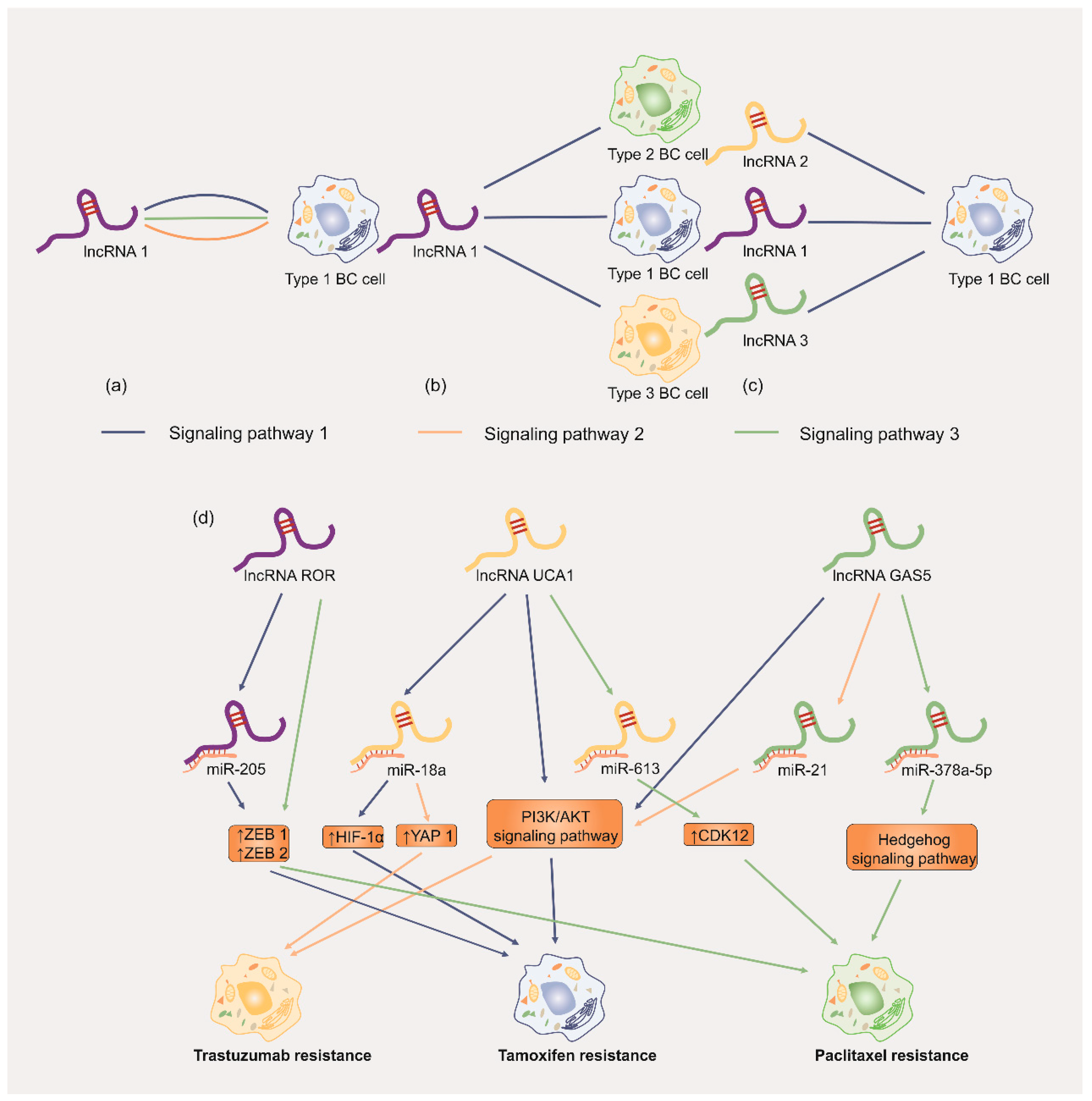 Cancers 14 02101 g008