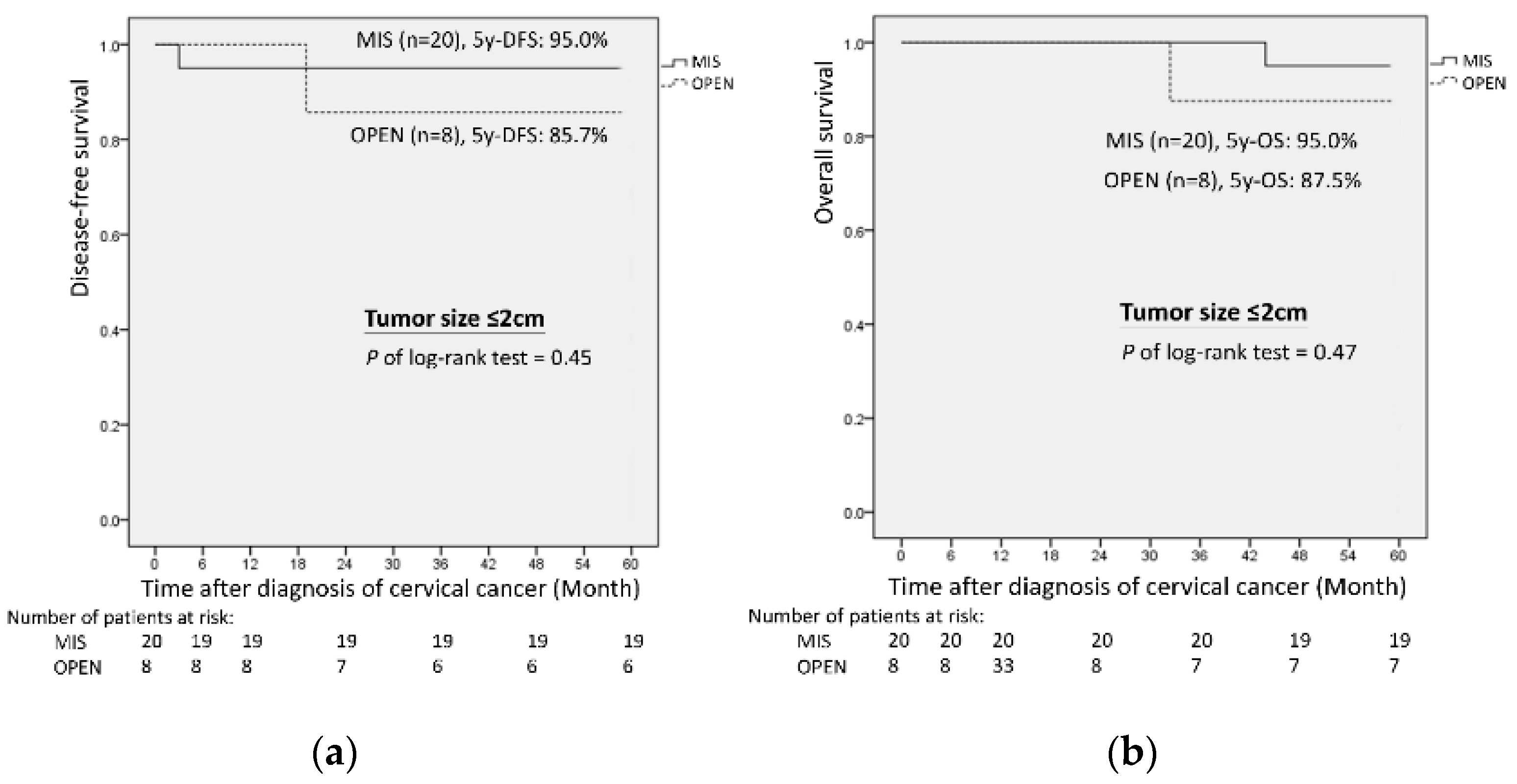 Cancers 14 02117 g002 550