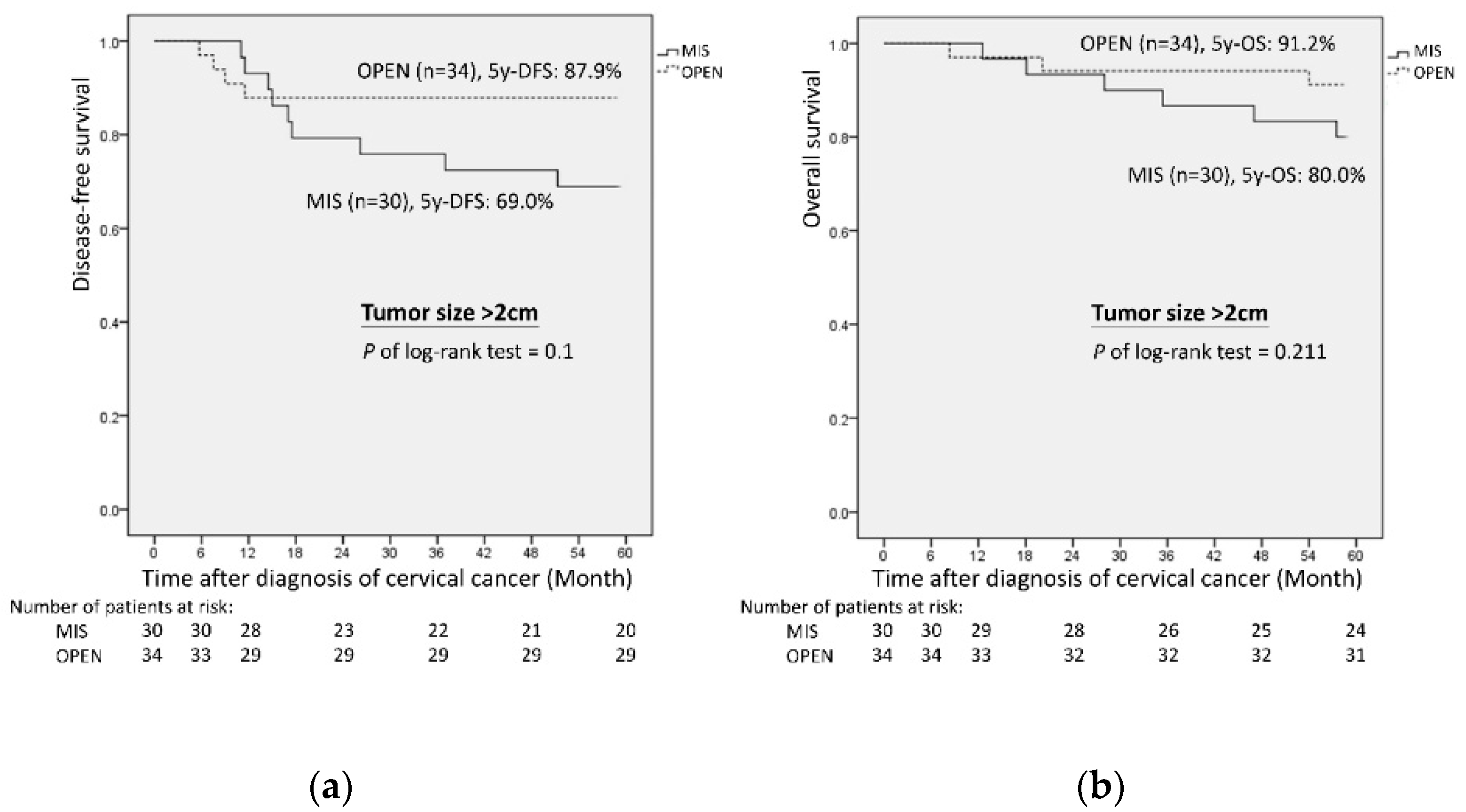 Cancers 14 02117 g003 550