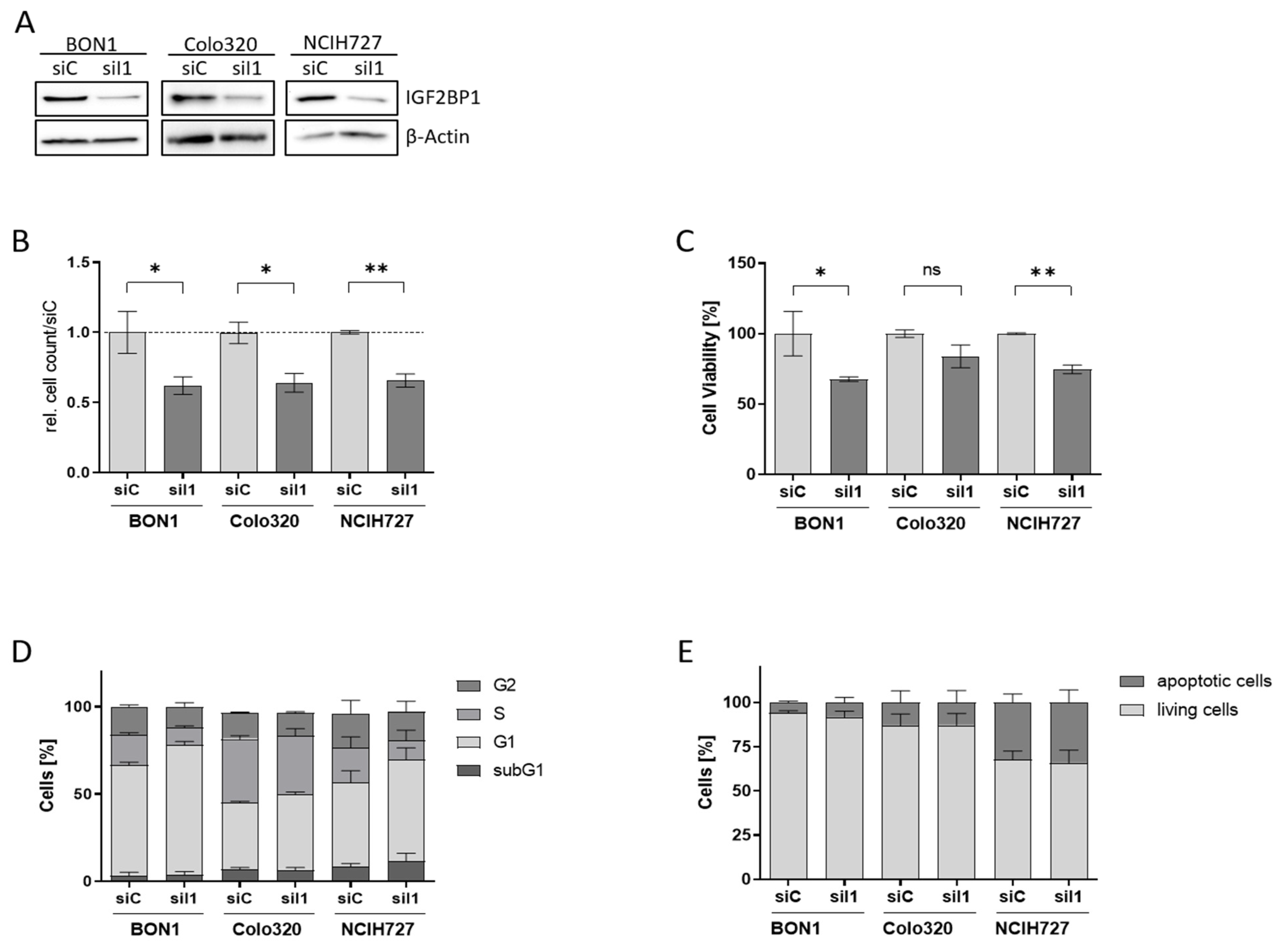 Cancers 14 02121 g002 550