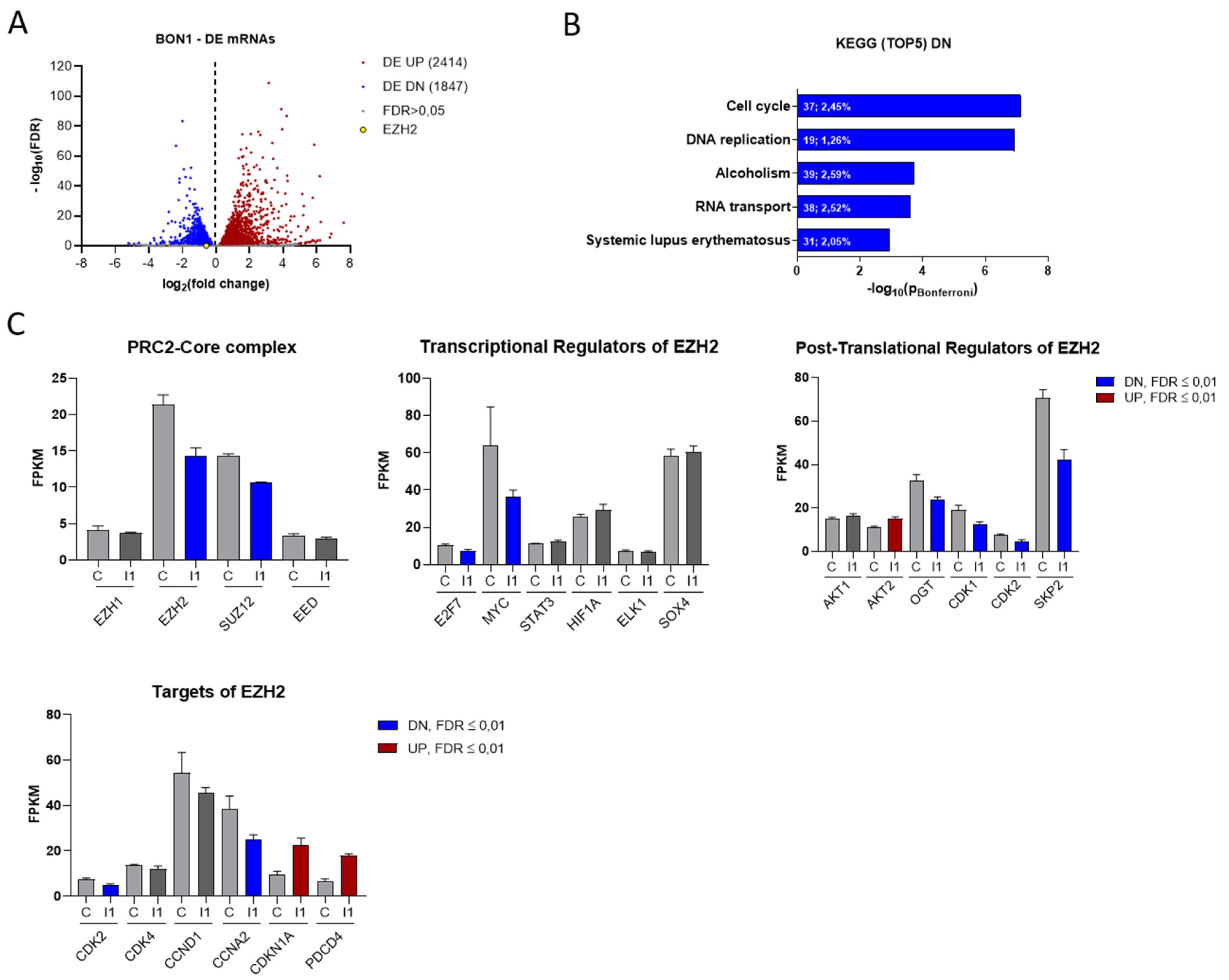 Cancers 14 02121 g003 550