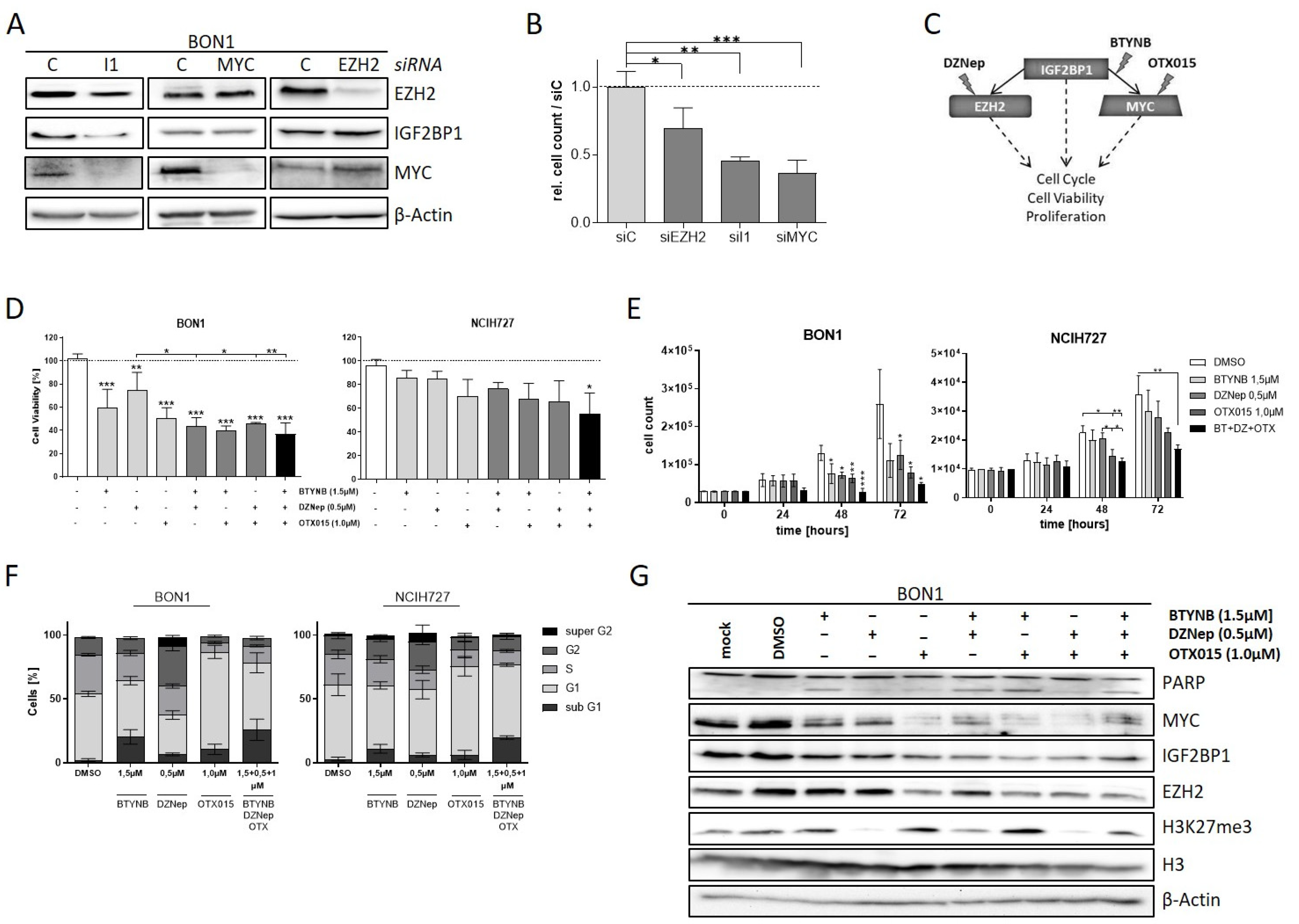 Cancers 14 02121 g005 550