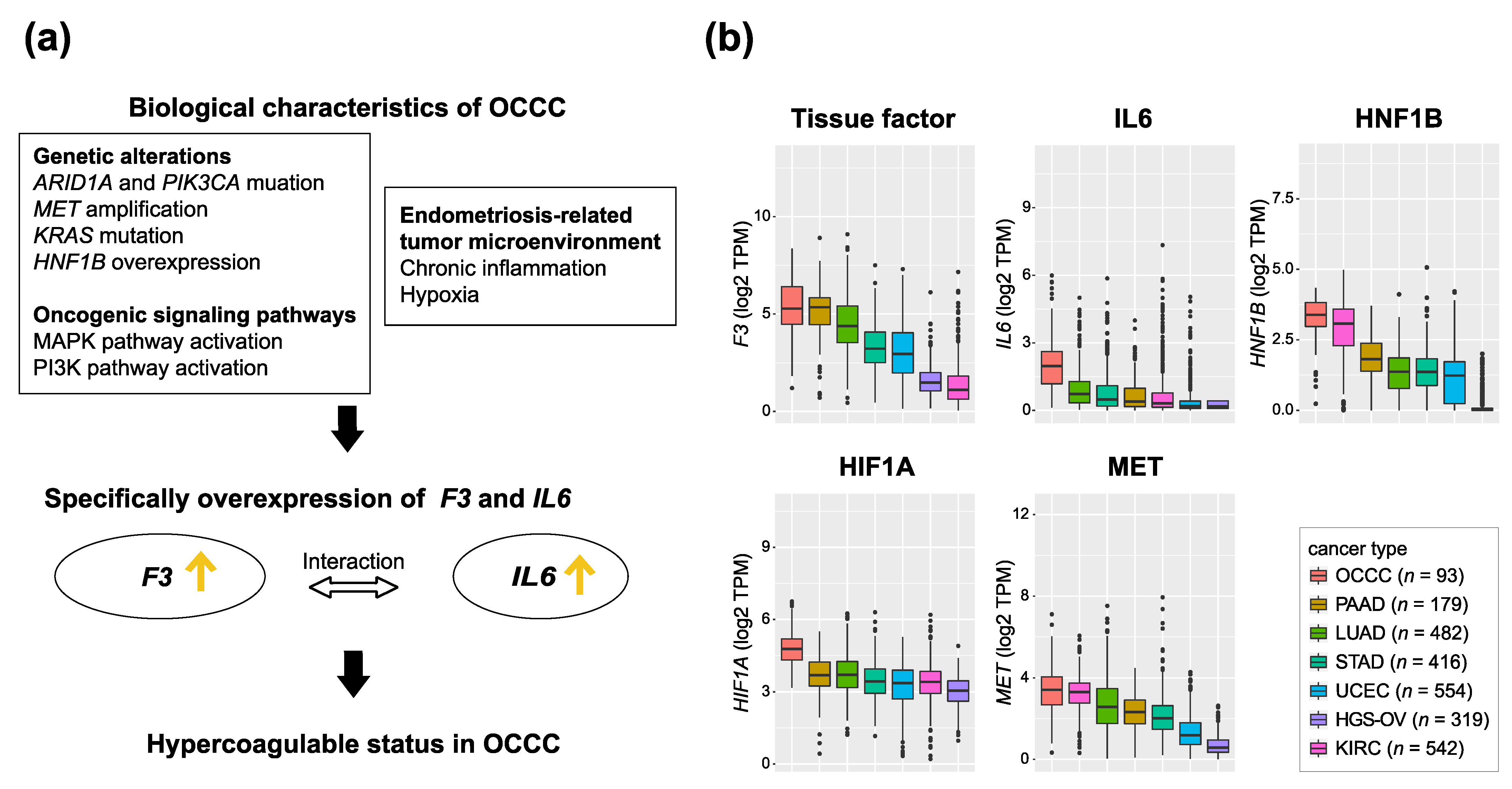Cancers 14 02125 g001