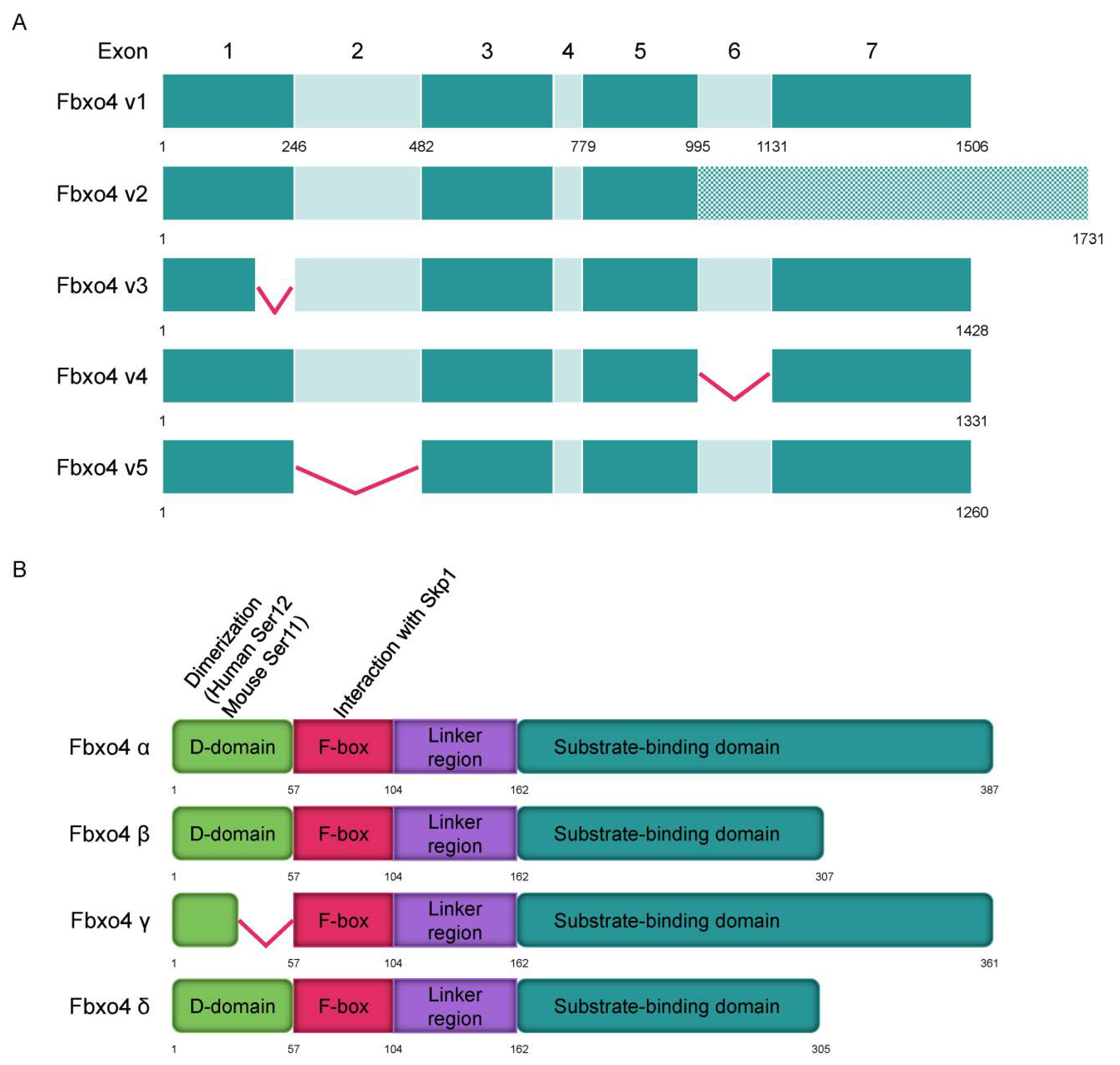 Cancers 14 02133 g002