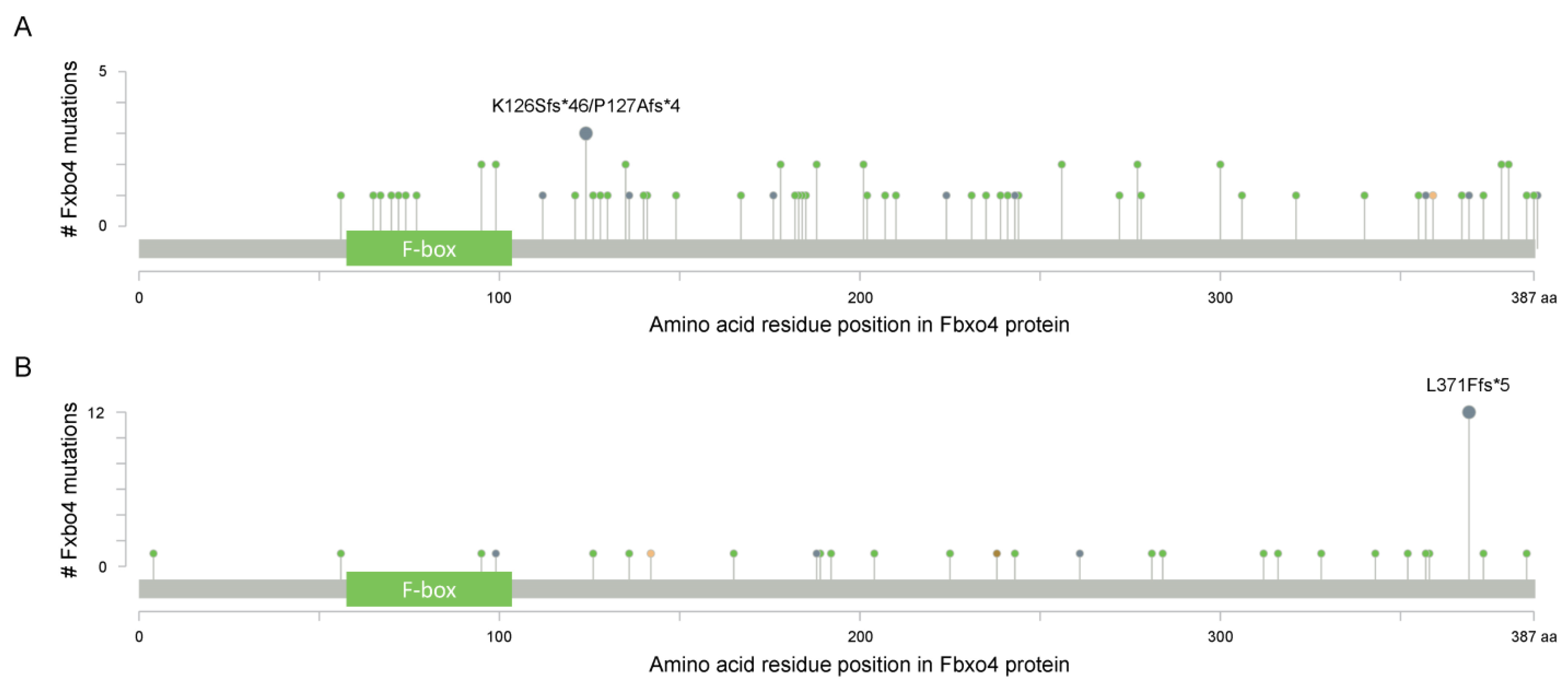 Cancers 14 02133 g003