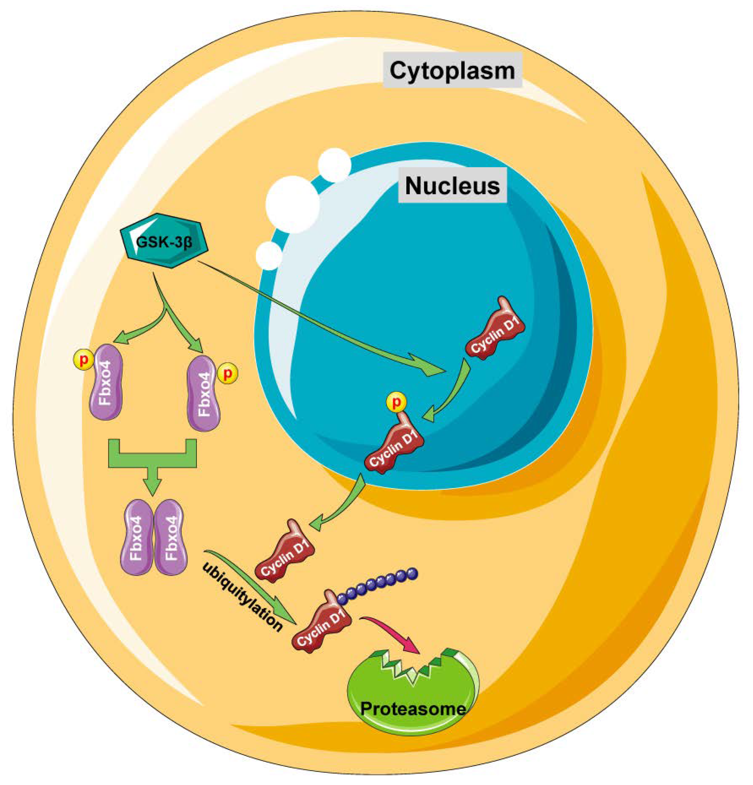 Cancers 14 02133 g005