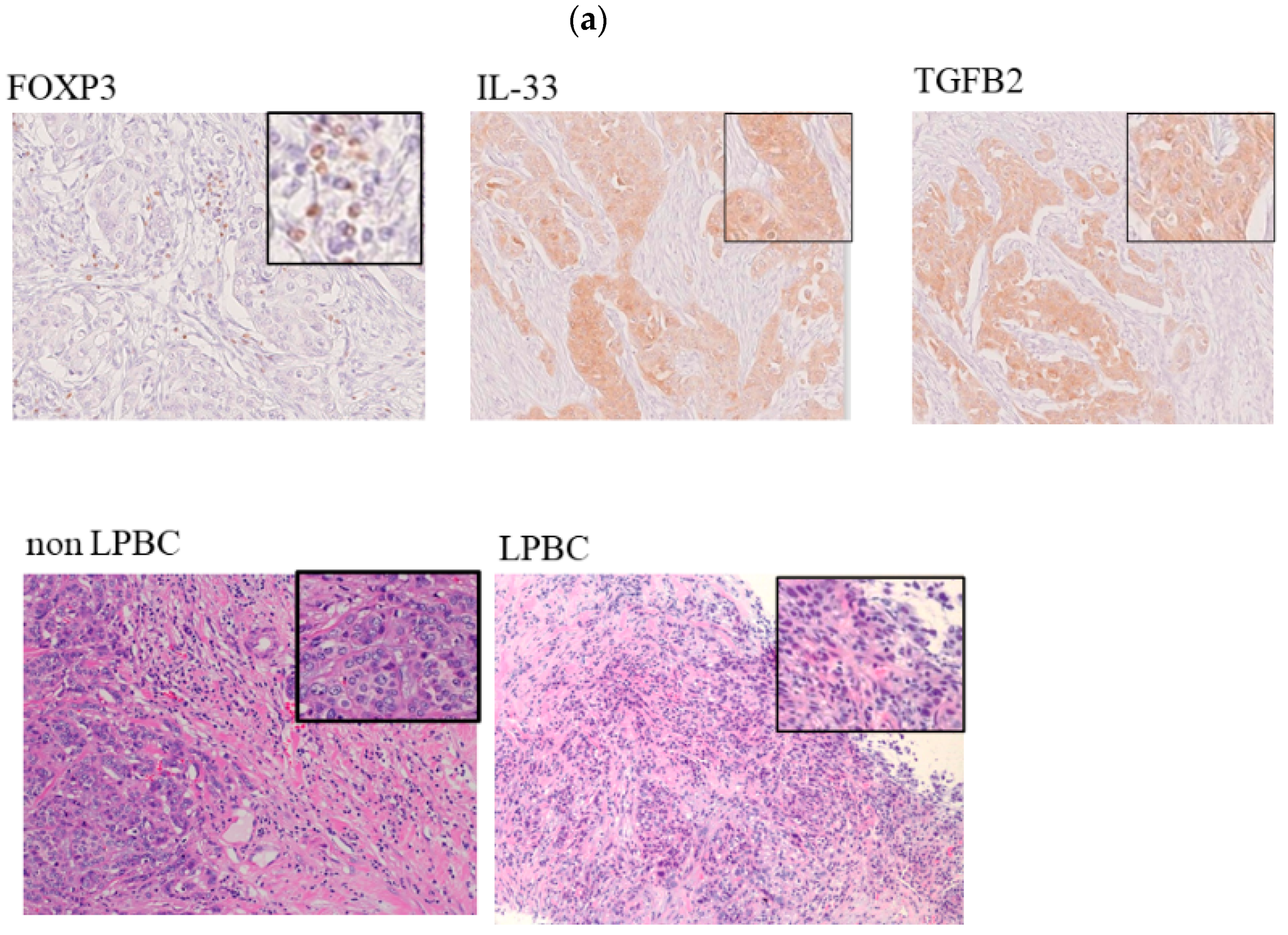 Cancers 14 02138 g003a 550