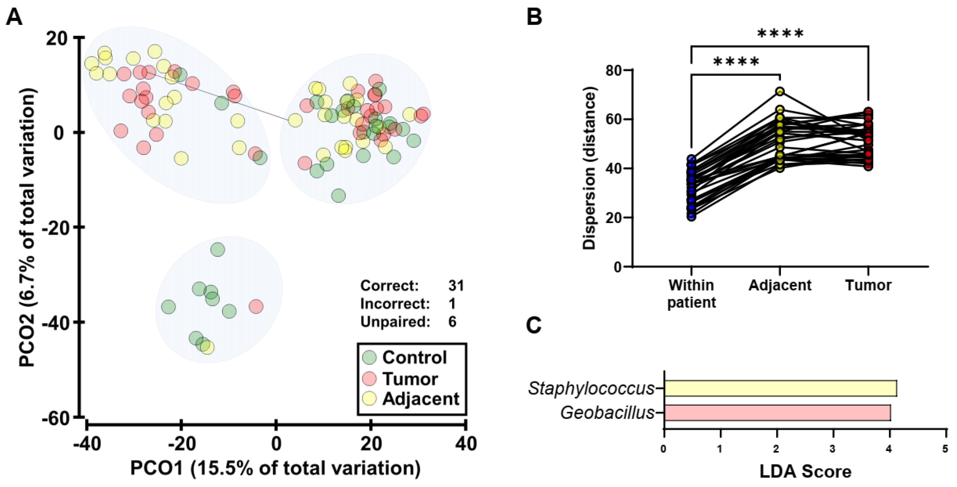 Cancers 14 02141 g002