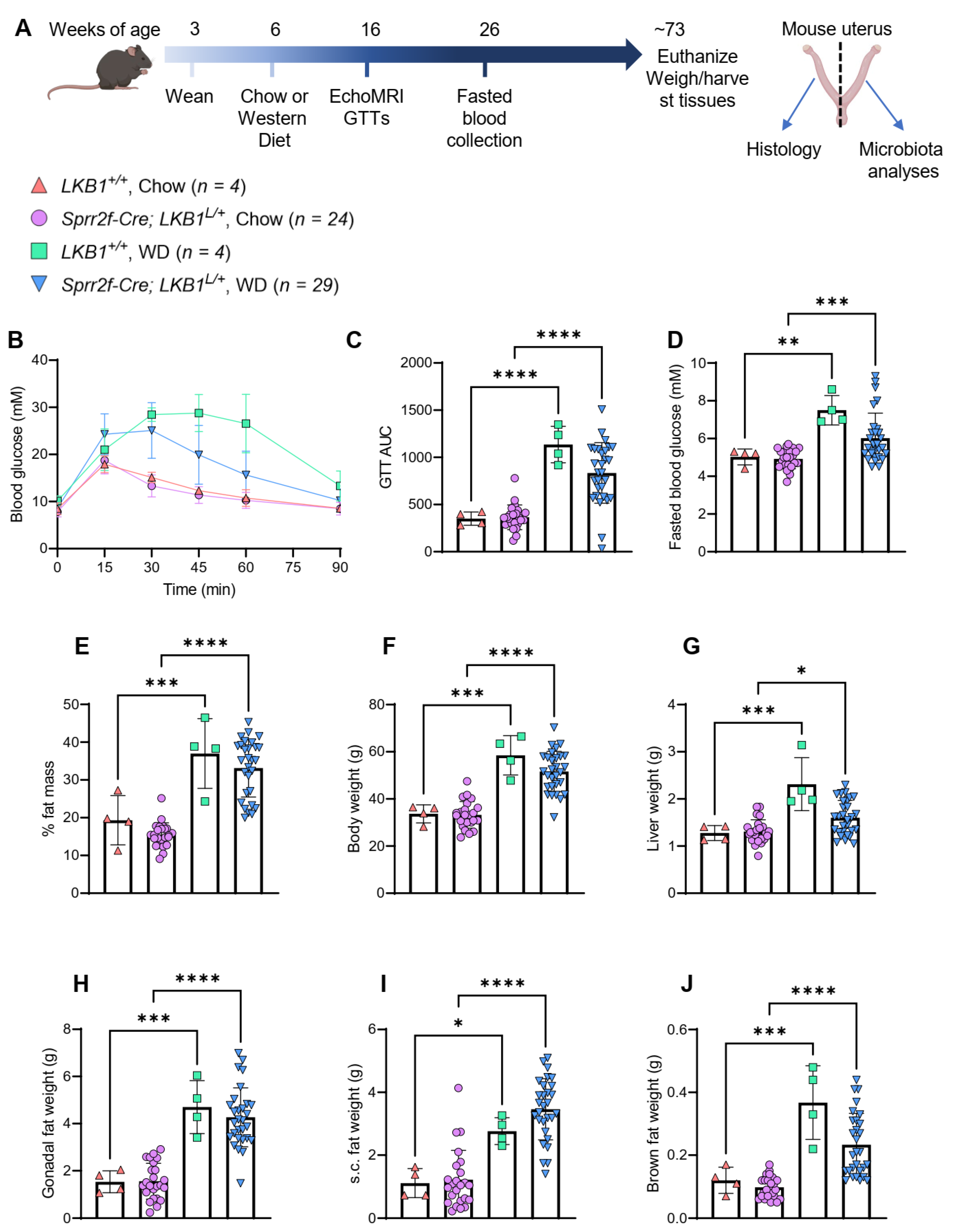 Cancers 14 02141 g003