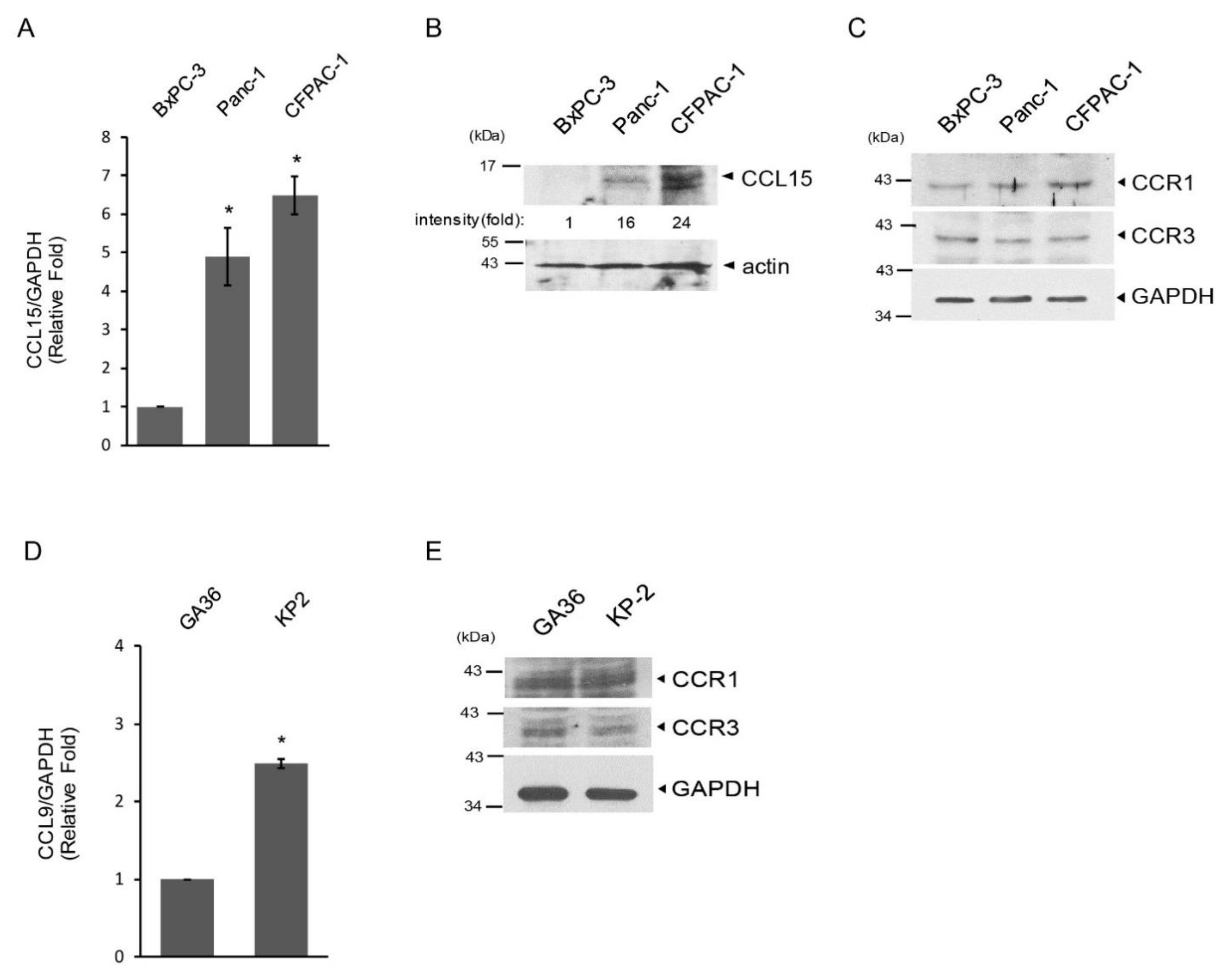Cancers 14 02153 g002