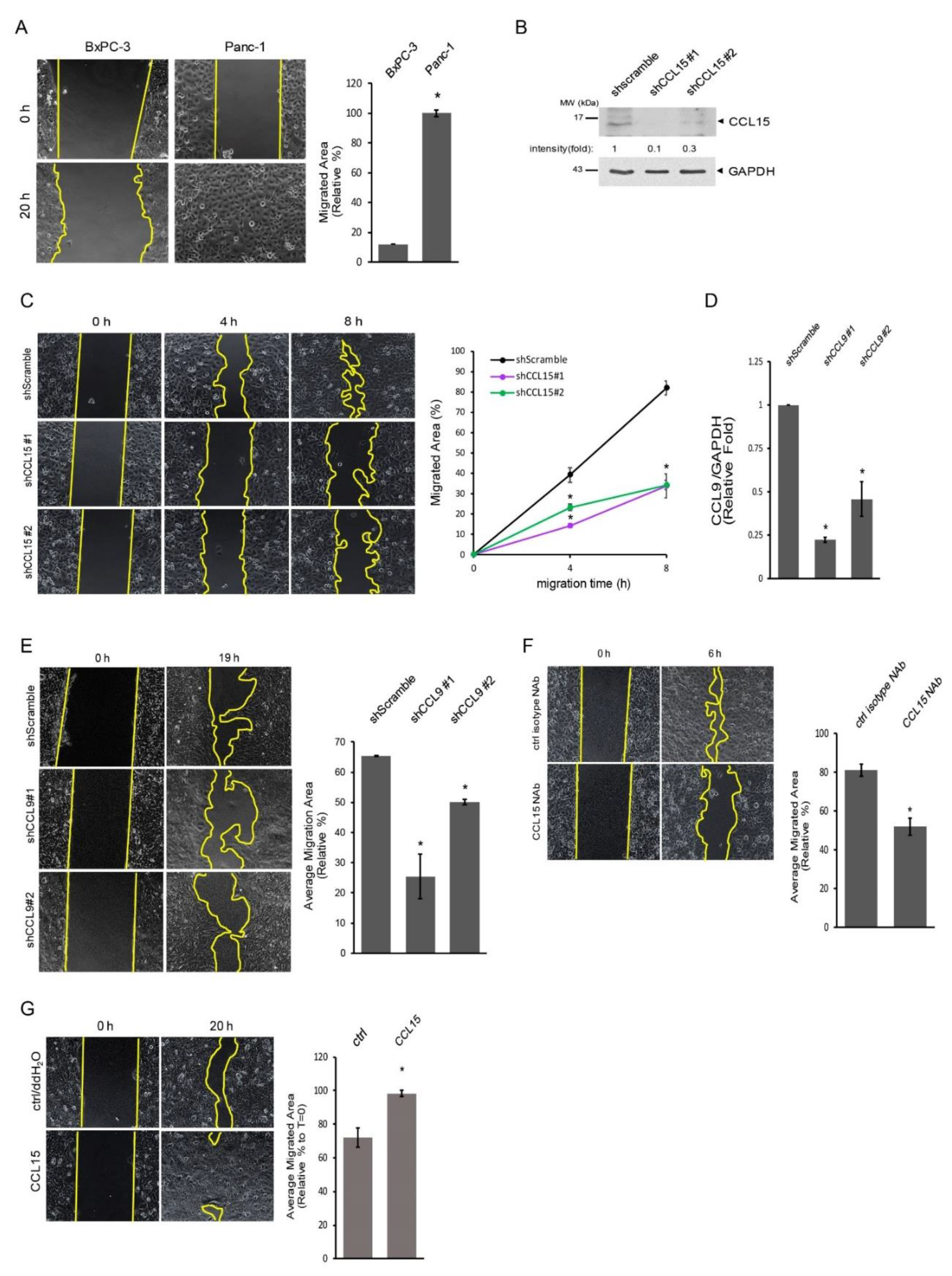 Cancers 14 02153 g003
