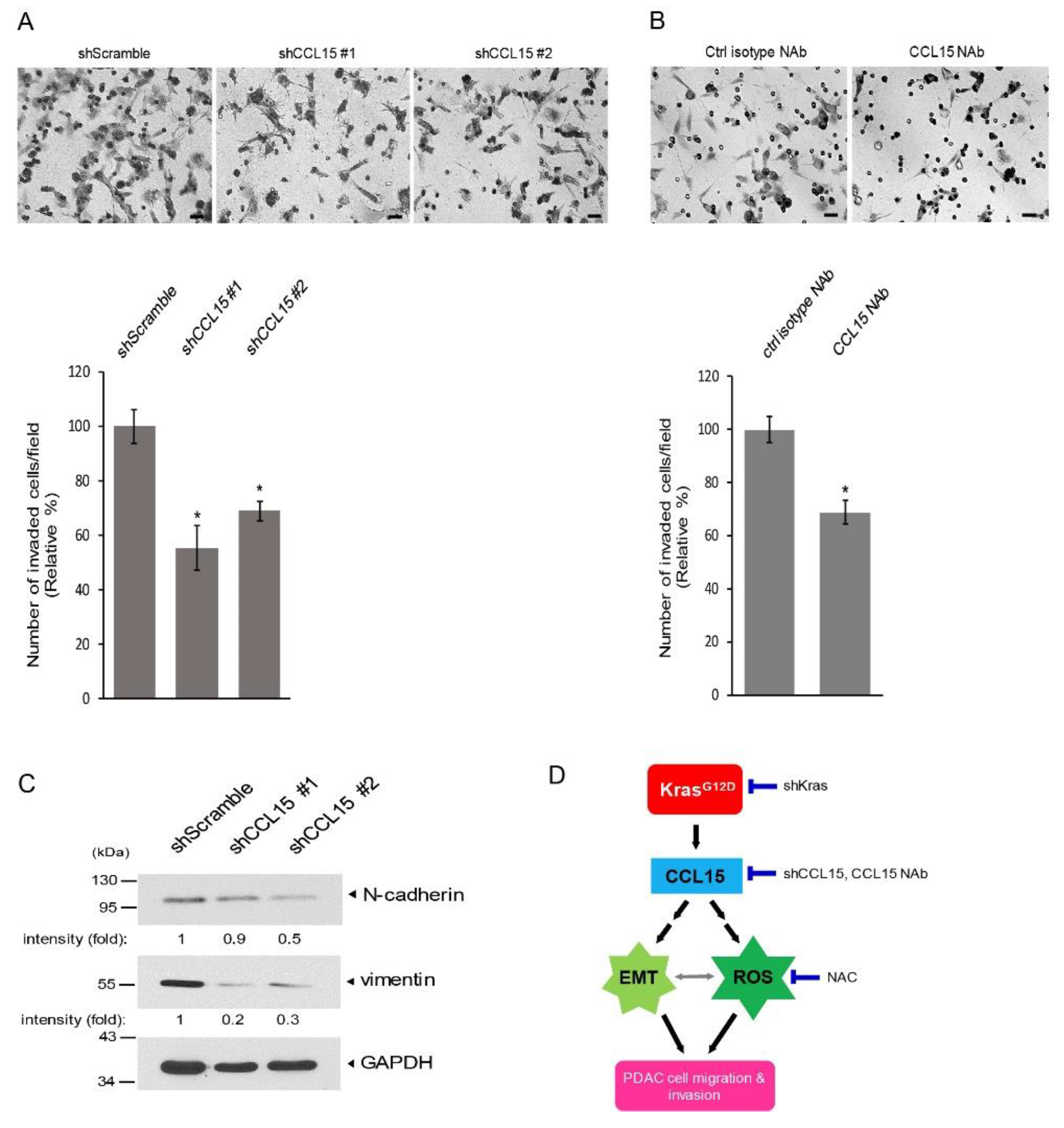 Cancers 14 02153 g006