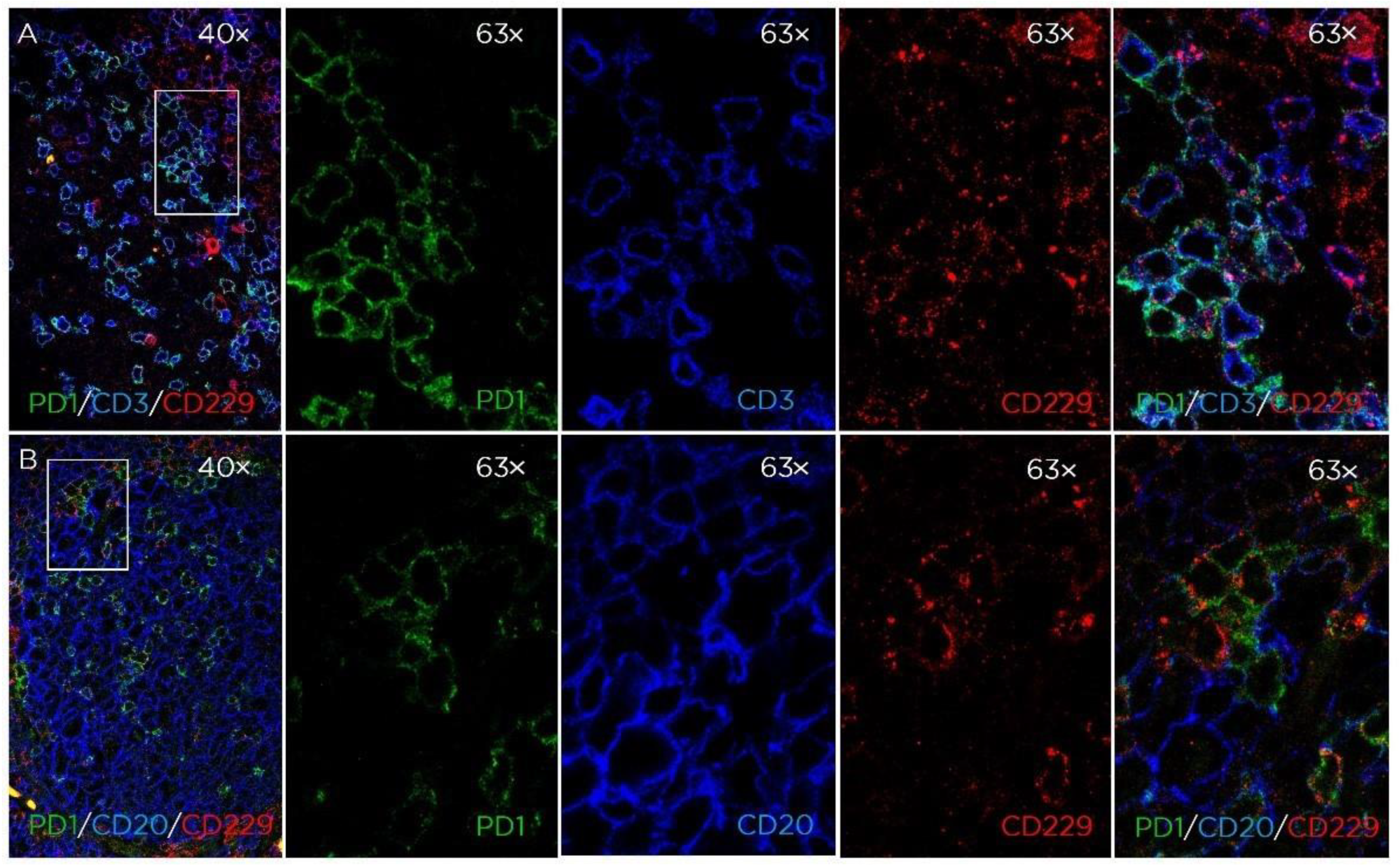 Cancers 14 02154 g002