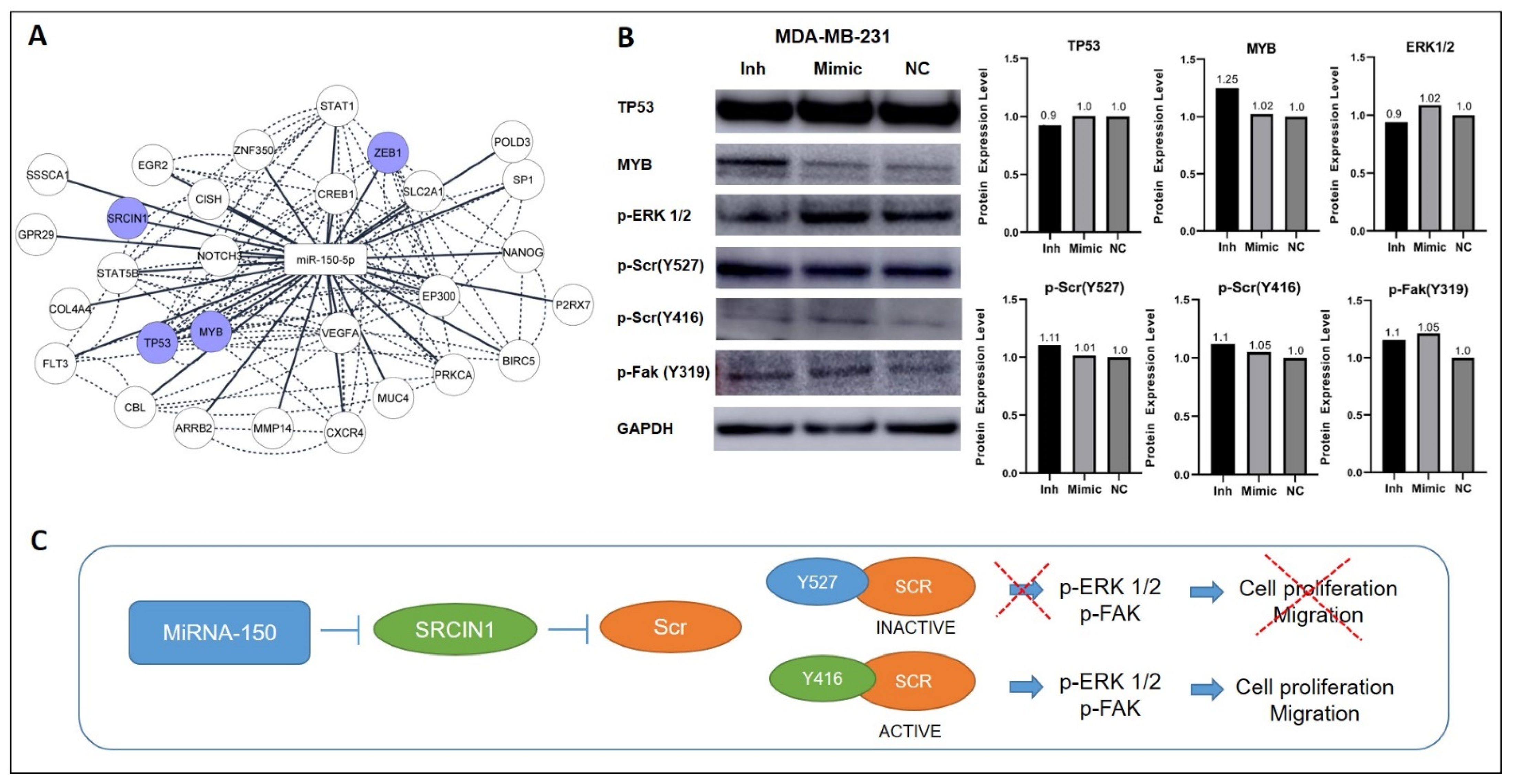 Cancers 14 02156 g005 550
