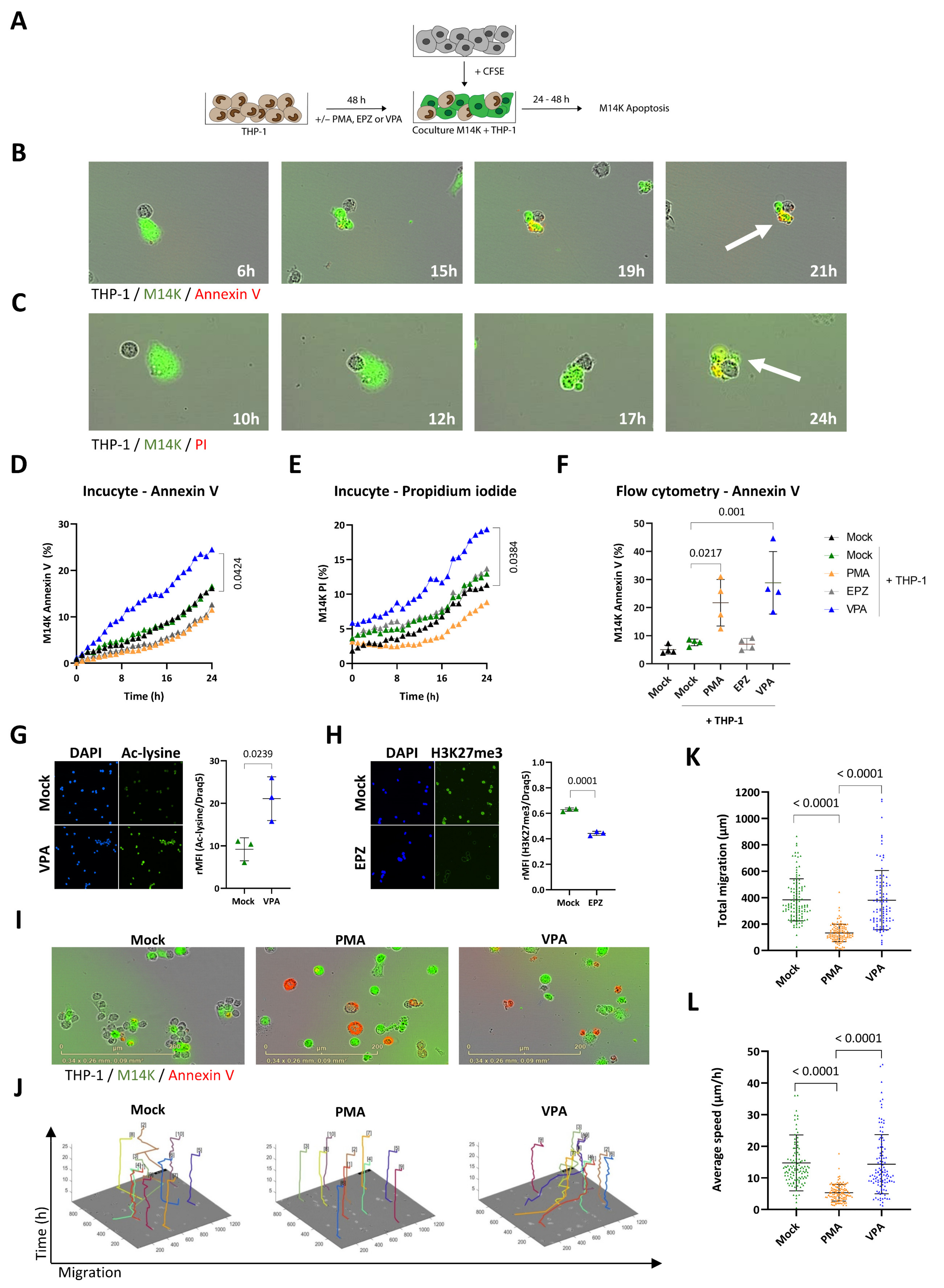Cancers 14 02164 g001