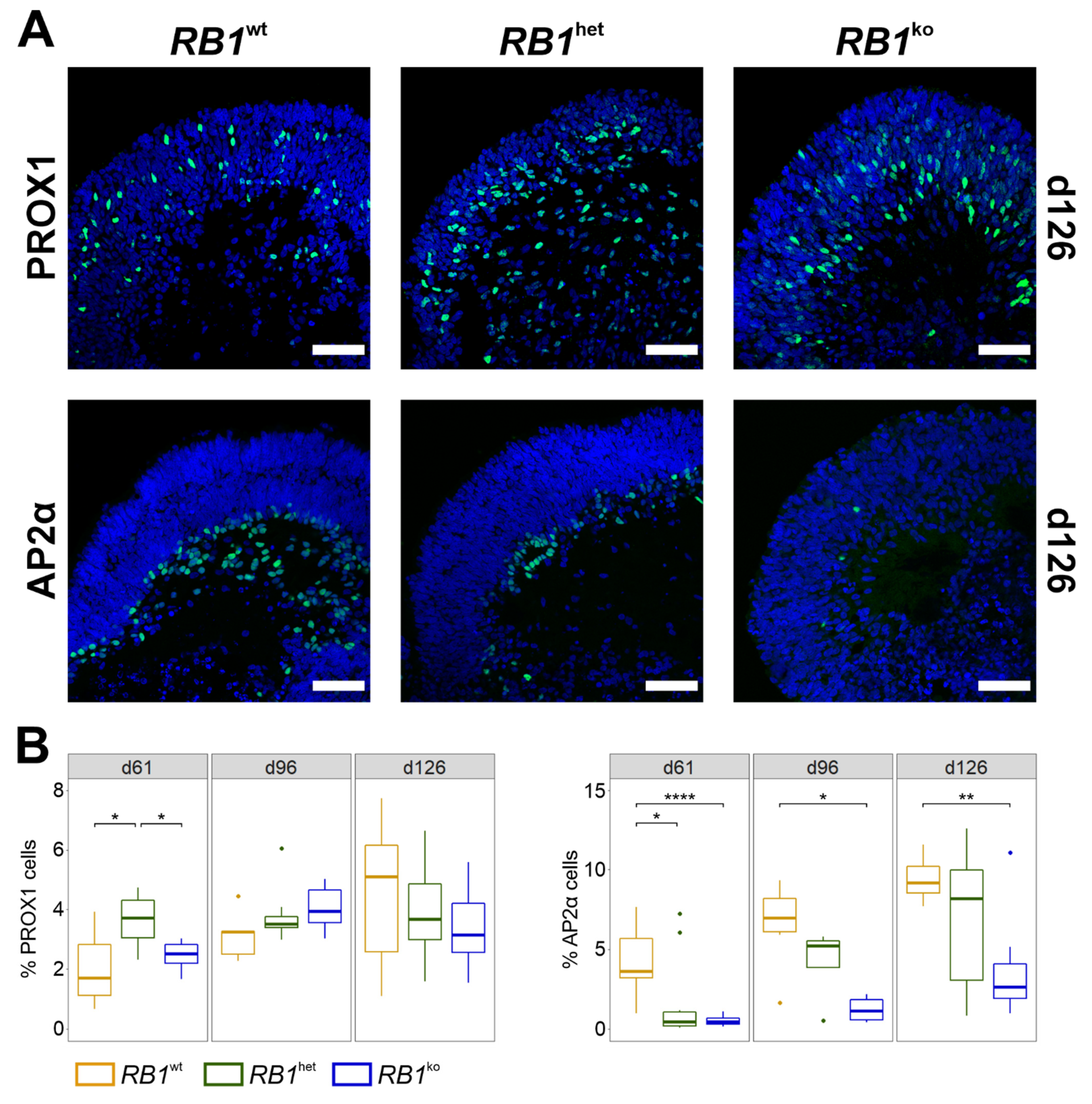 Cancers 14 02166 g001