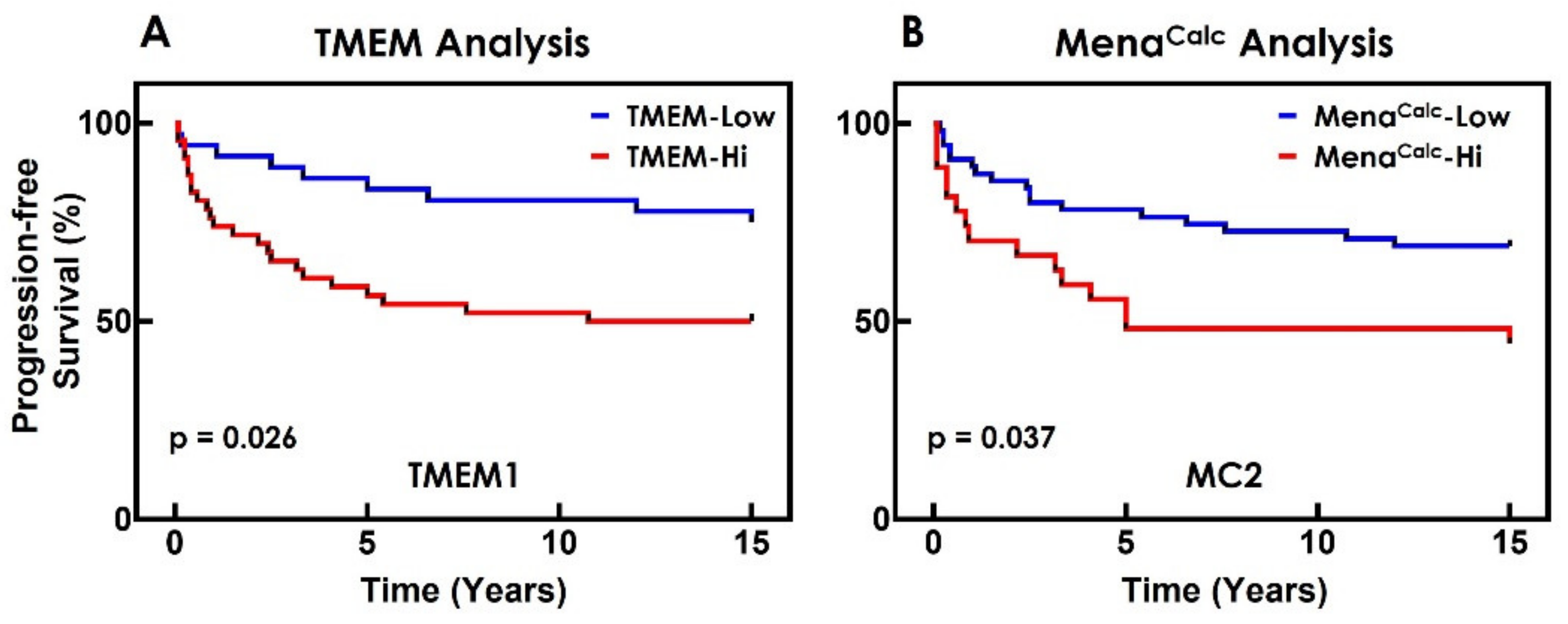 Cancers 14 02168 g005