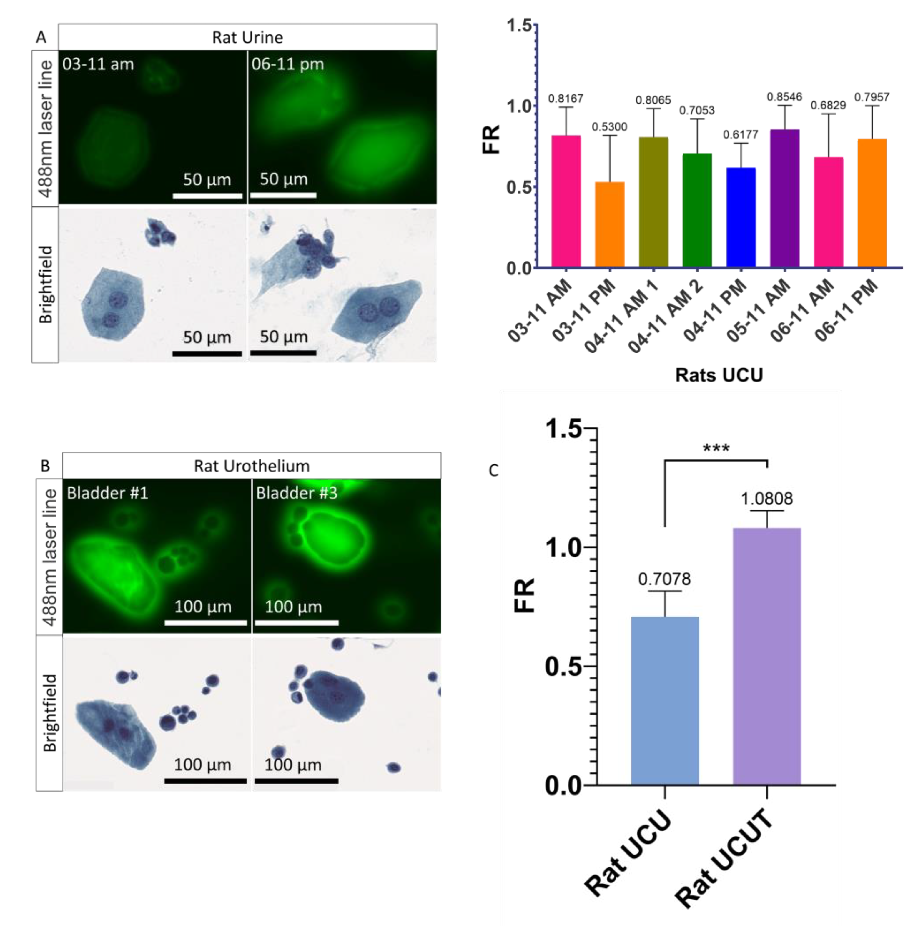 Cancers 14 02171 g003