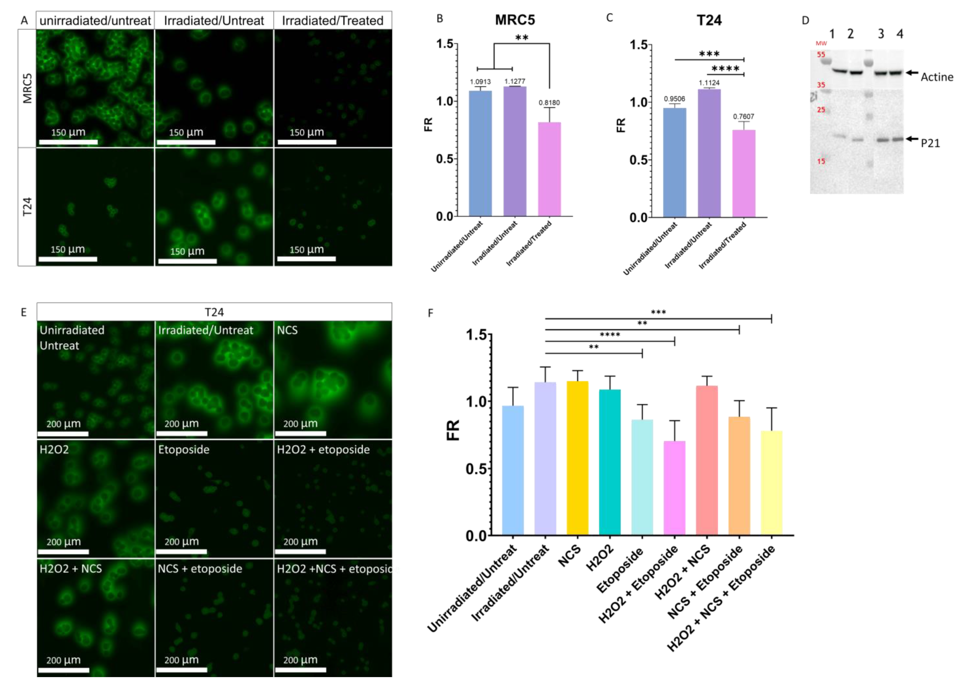 Cancers 14 02171 g005