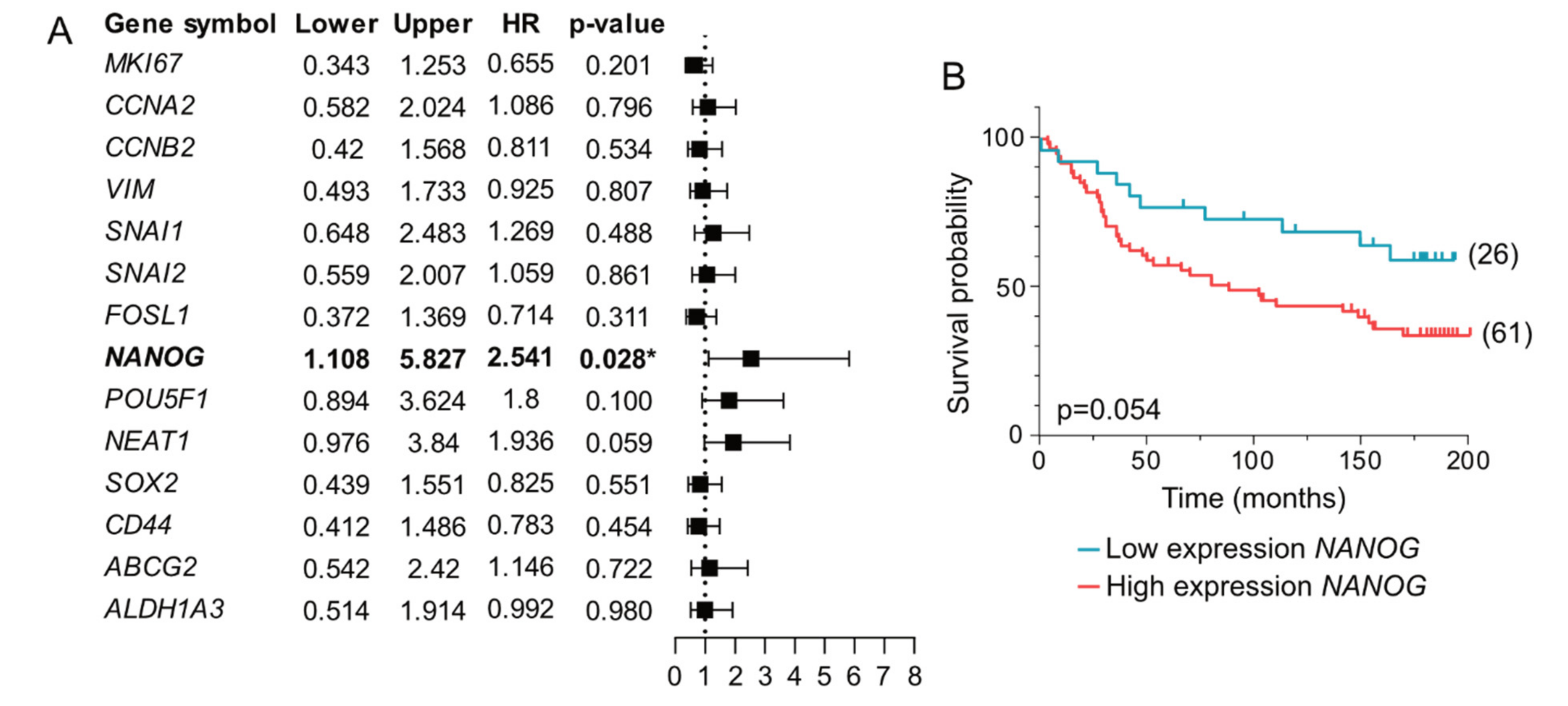 Cancers 14 02172 g004 550