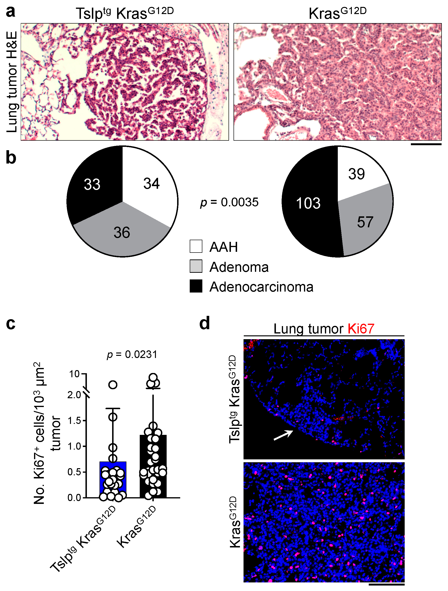 Cancers 14 02173 g002 550