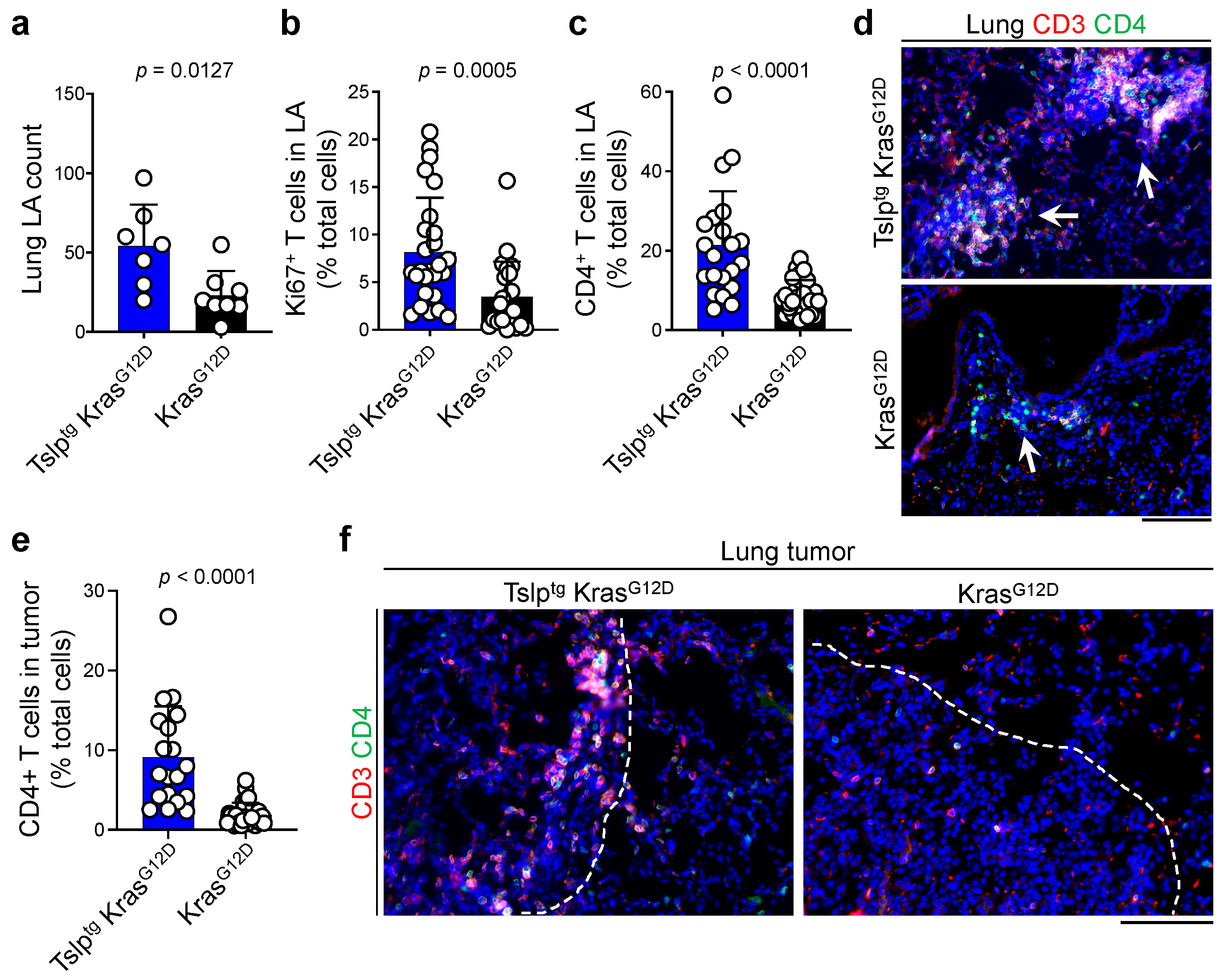 Cancers 14 02173 g003 550