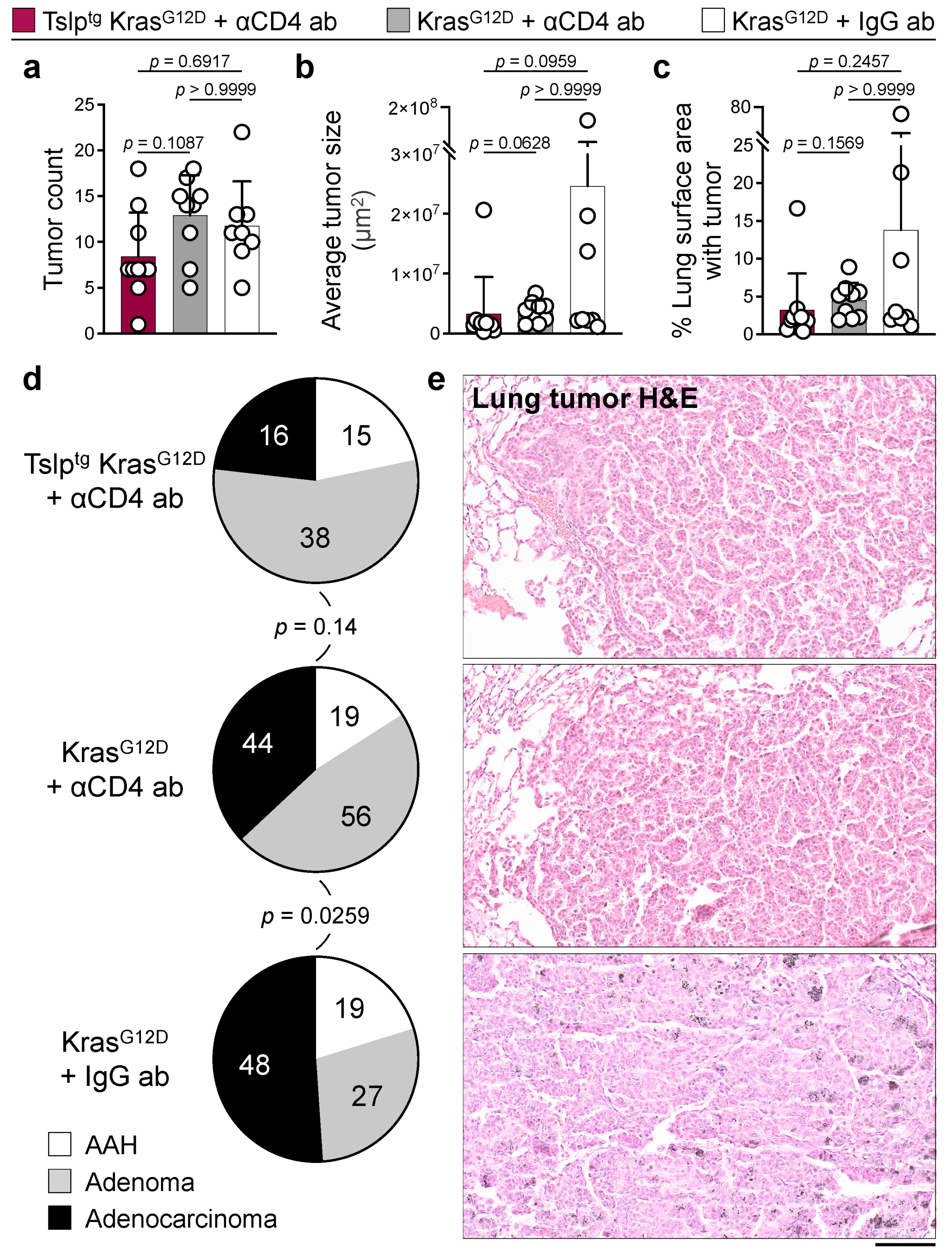 Cancers 14 02173 g004 550