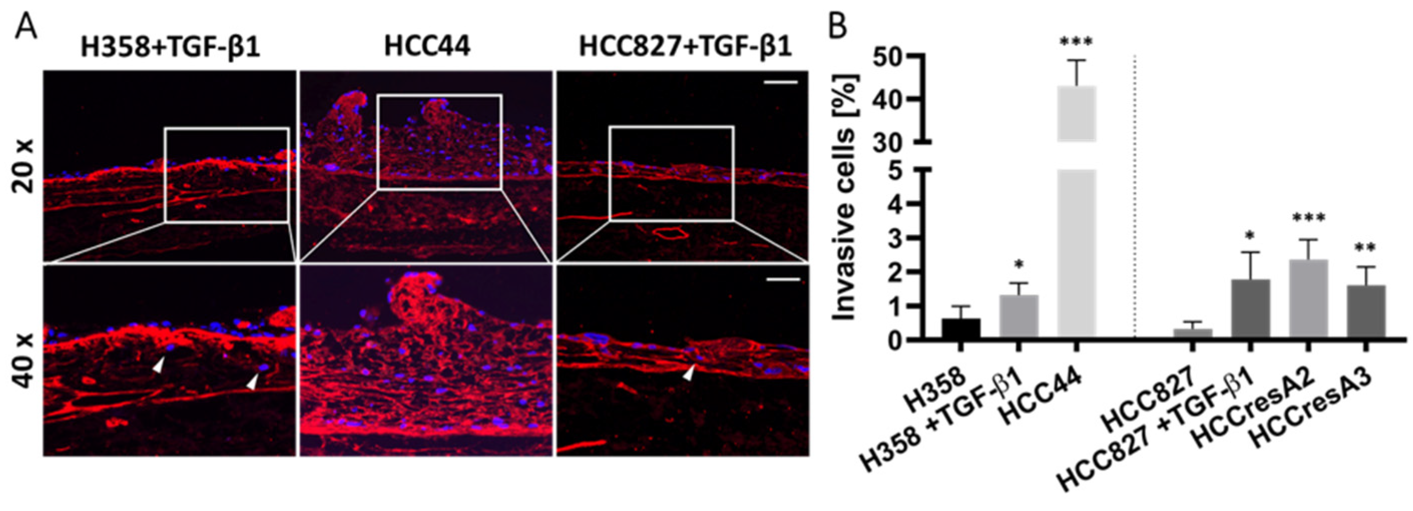 Cancers 14 02176 g003 Cancers 14 02176 g003