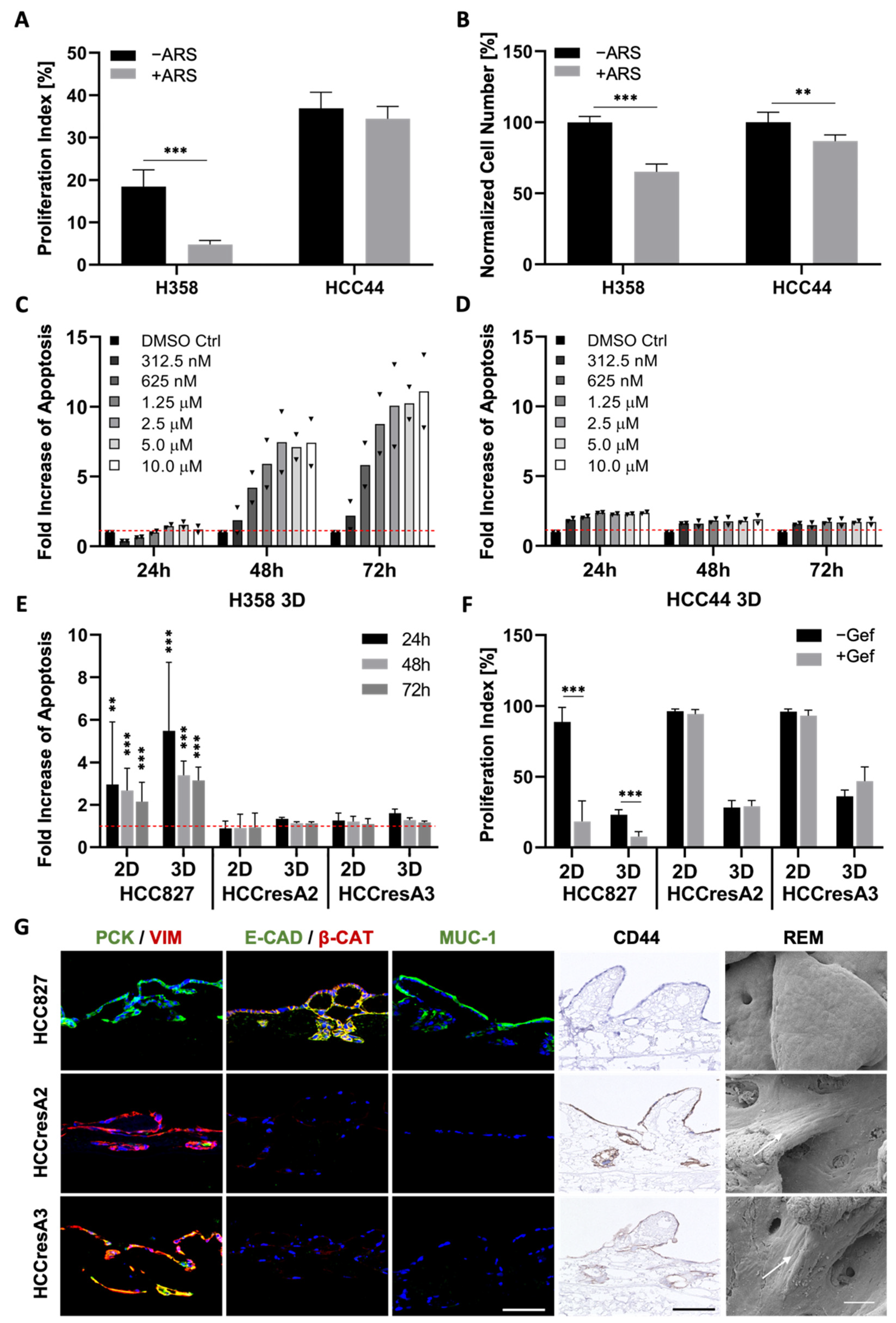 Cancers 14 02176 g004 Cancers 14 02176 g004