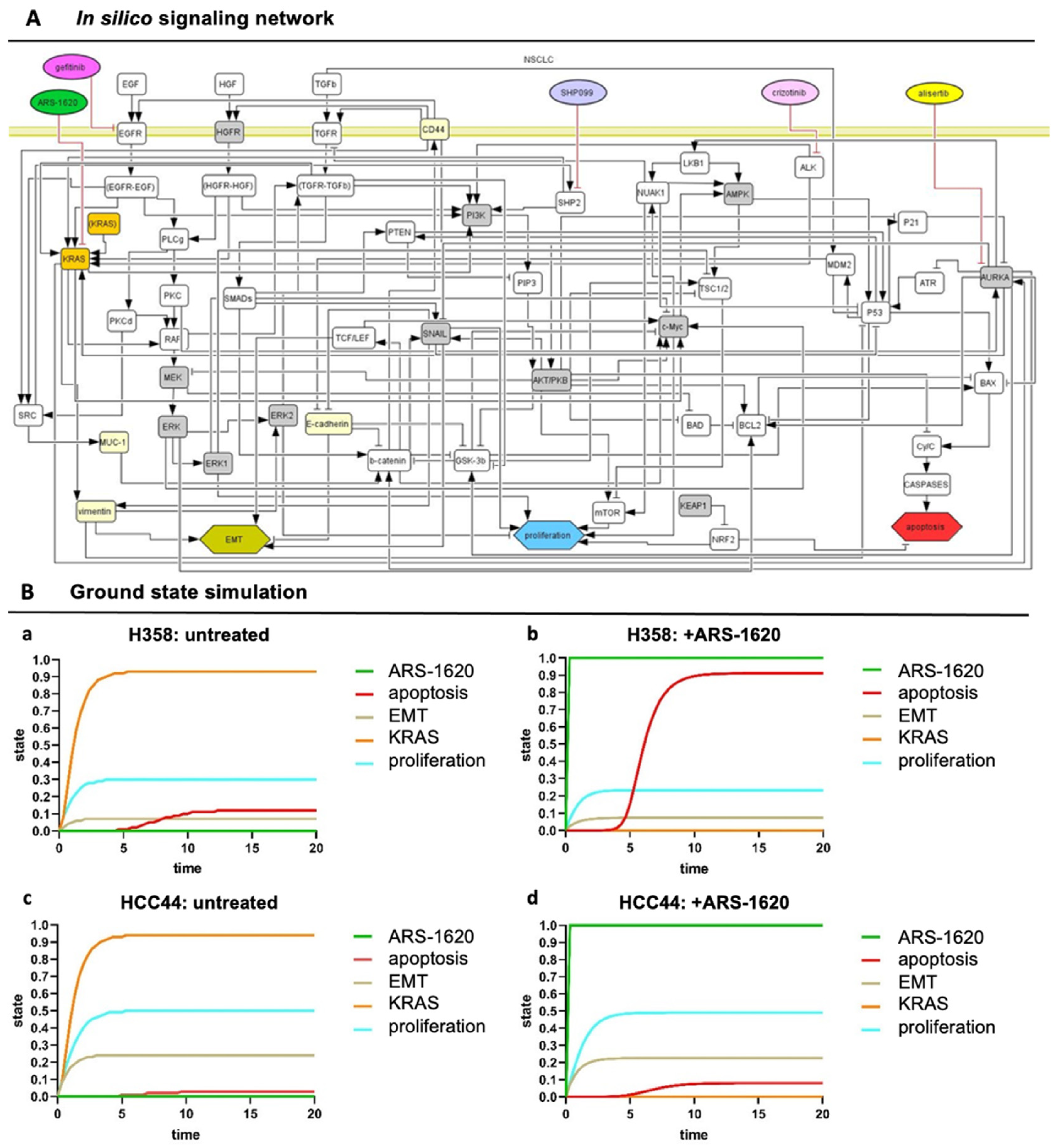Cancers 14 02176 g005 Cancers 14 02176 g005