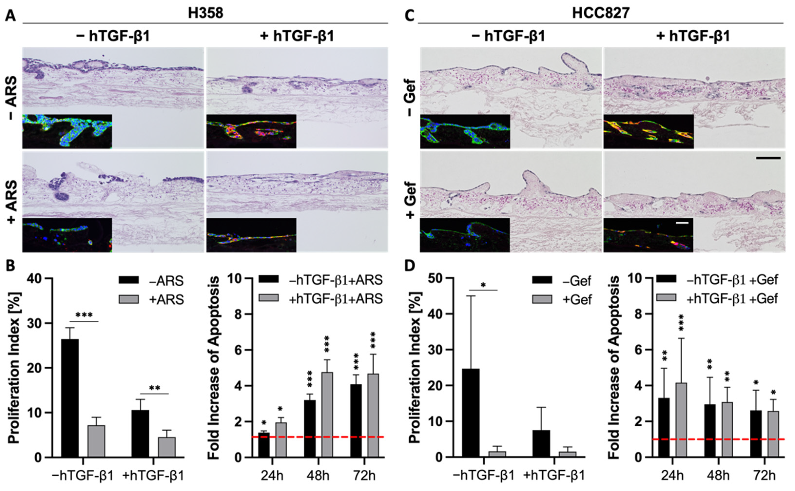 Cancers 14 02176 g006 Cancers 14 02176 g006