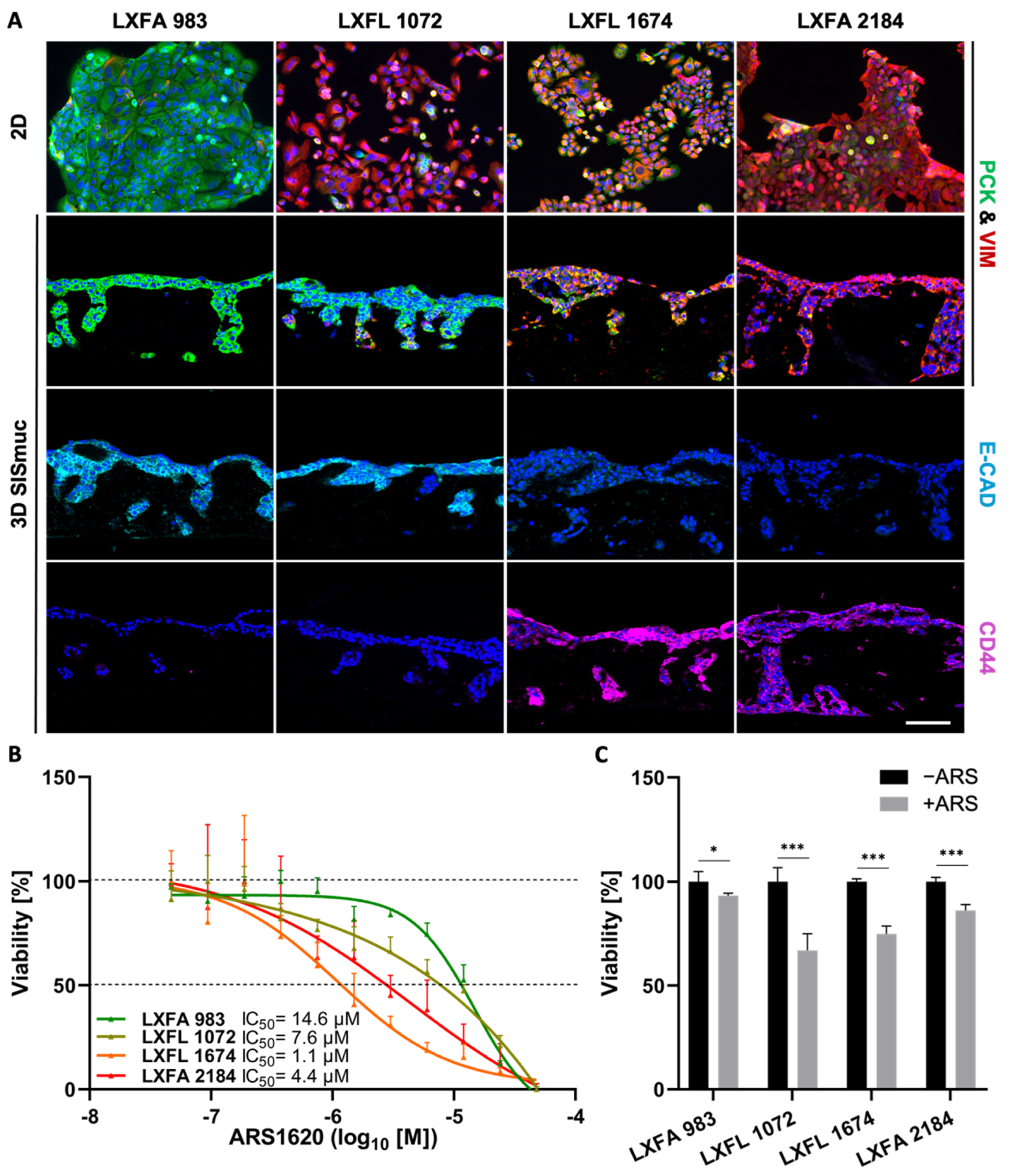 Cancers 14 02176 g007 Cancers 14 02176 g007