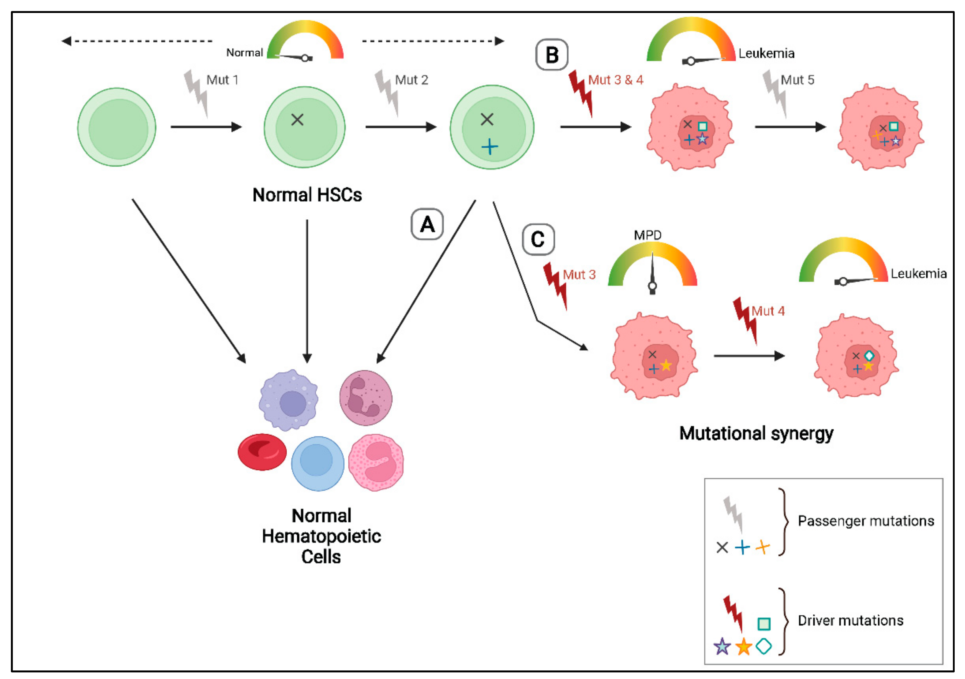 Cancers 14 02182 g001 550