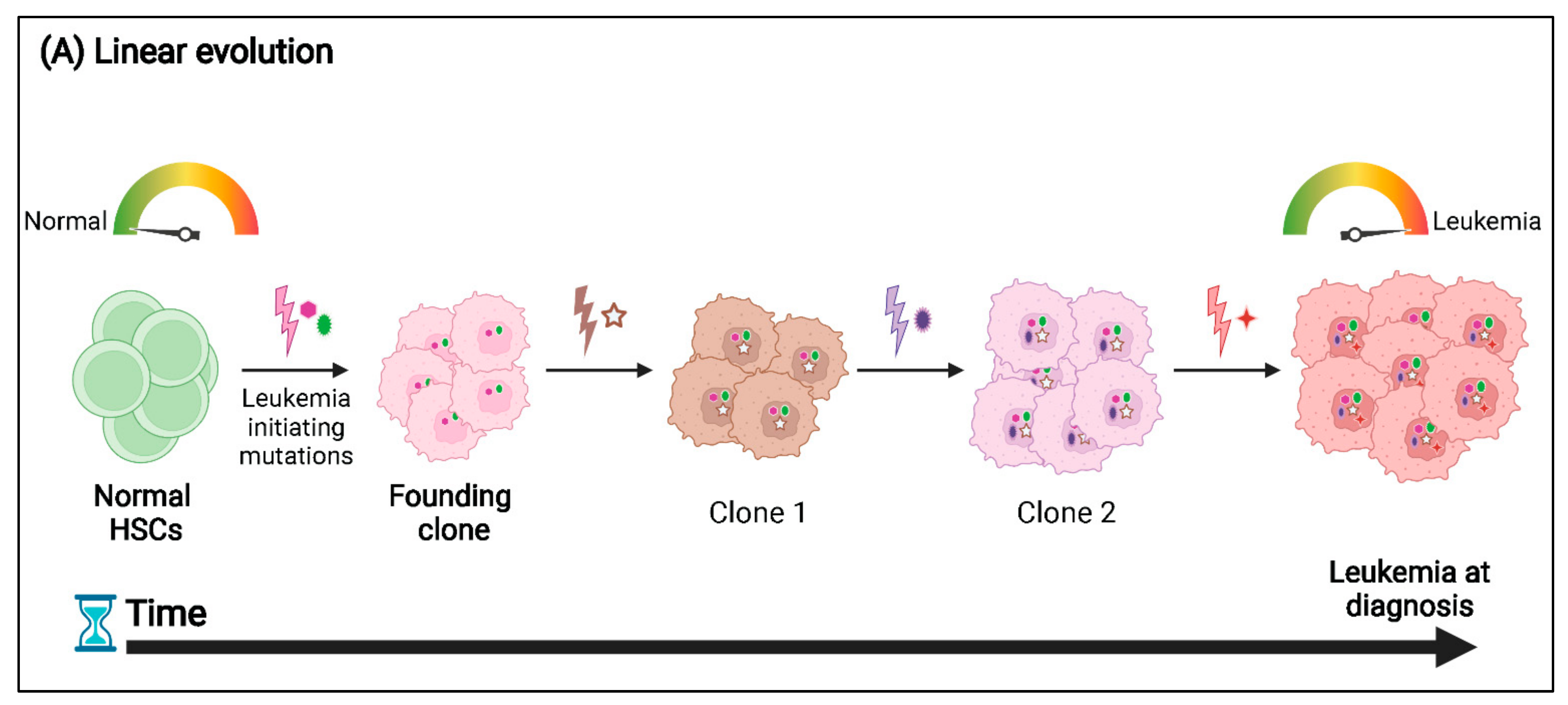 Cancers 14 02182 g002a 550