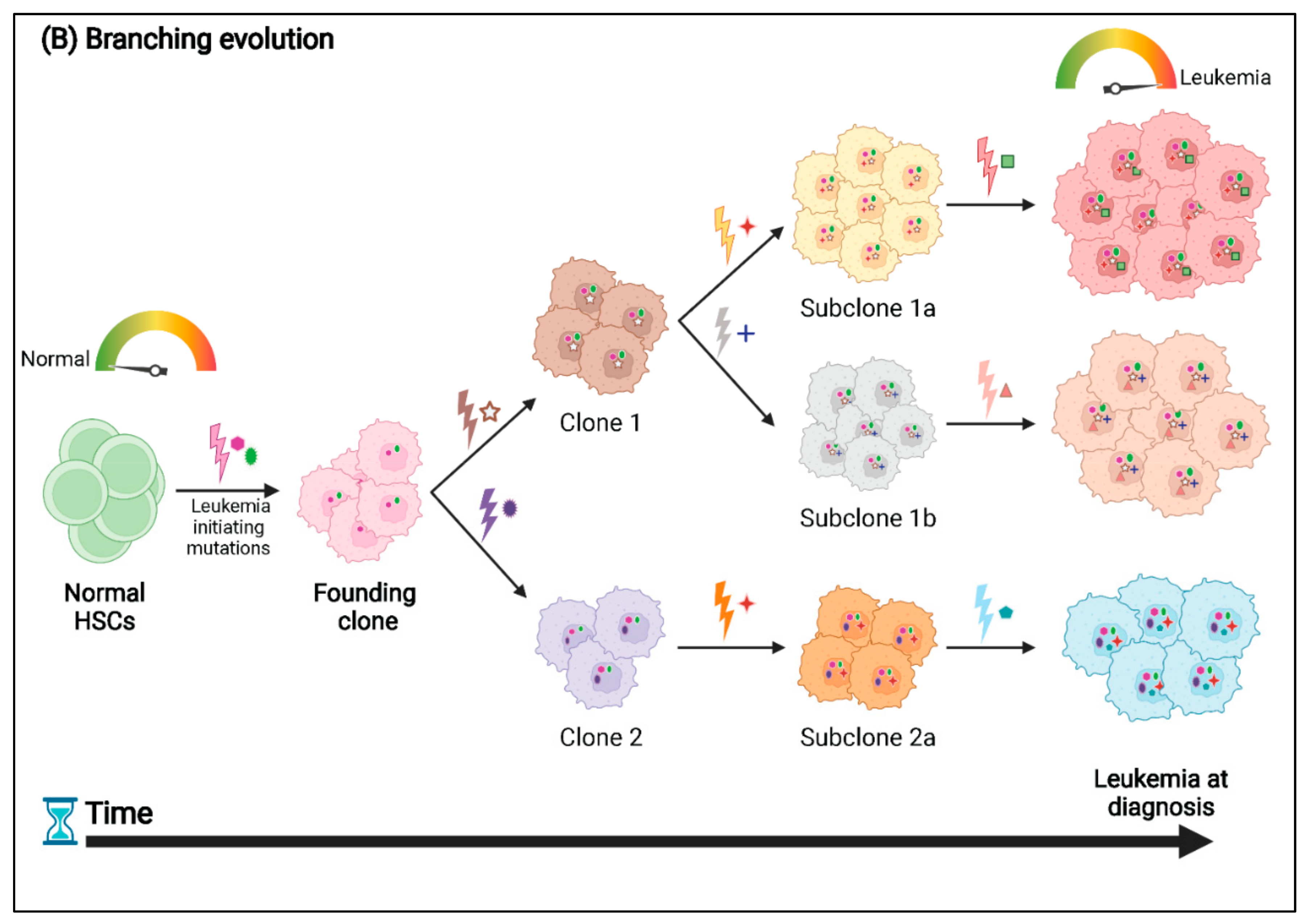 Cancers 14 02182 g002b 550
