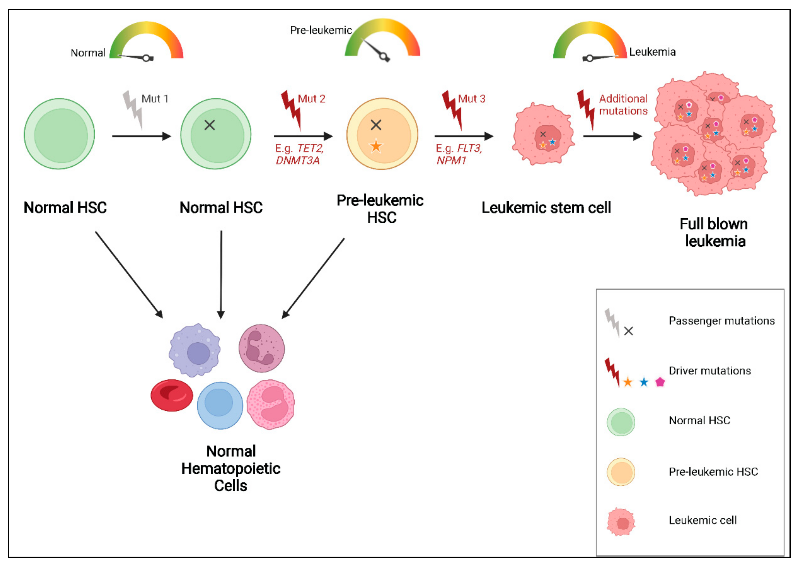 Cancers 14 02182 g003 550