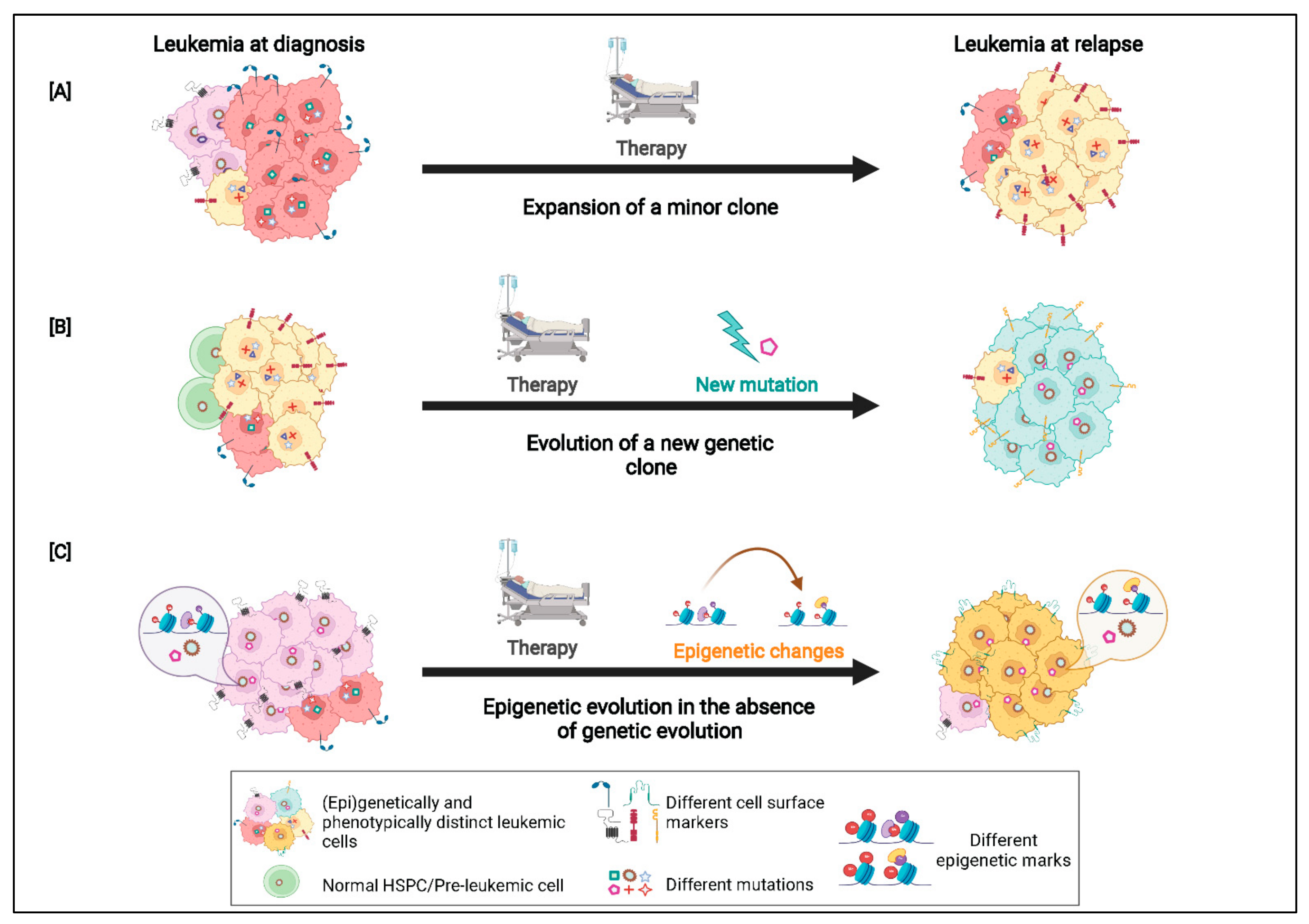 Cancers 14 02182 g004 550