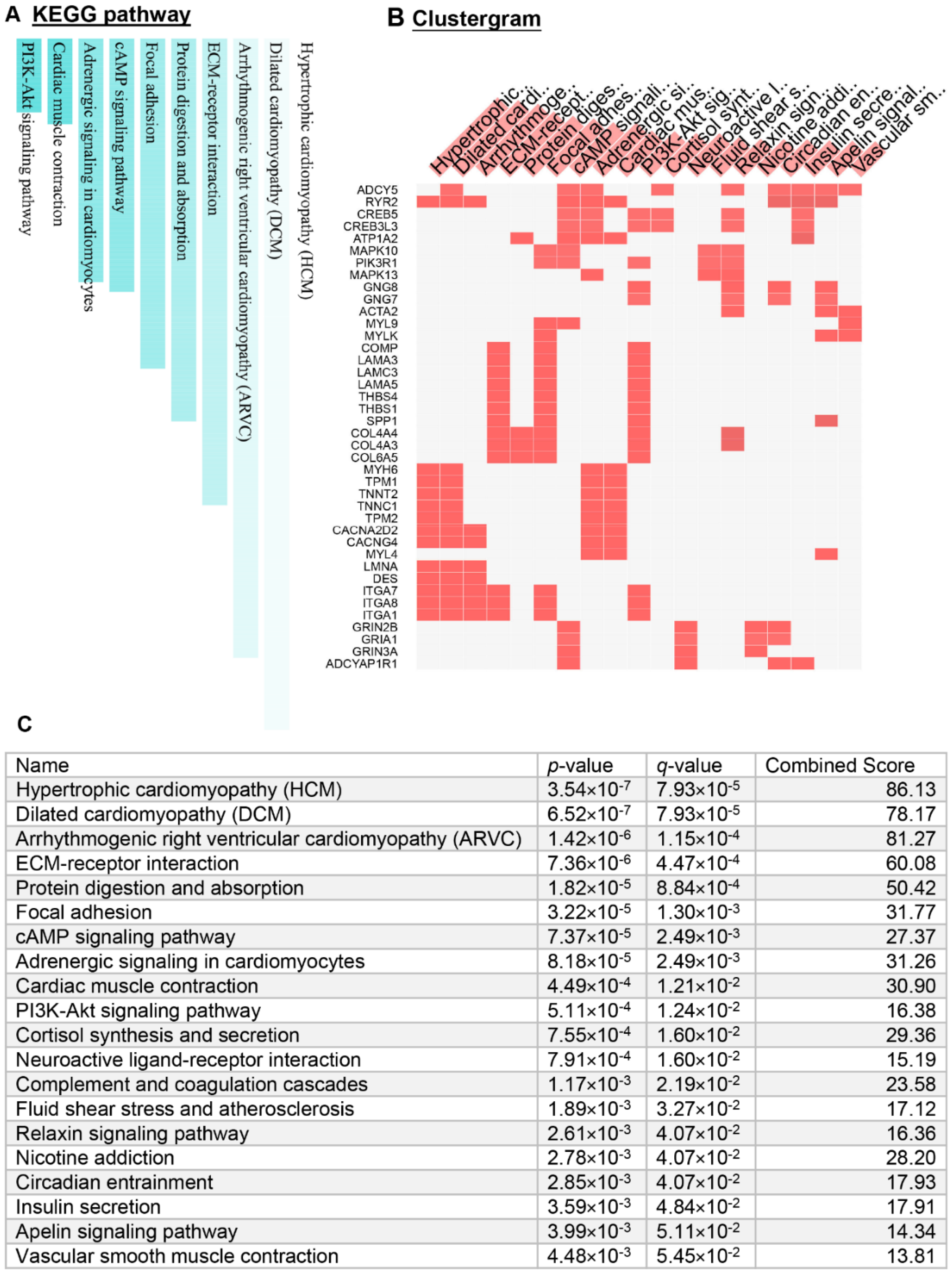 Cancers 14 02184 g003 Cancers 14 02184 g003