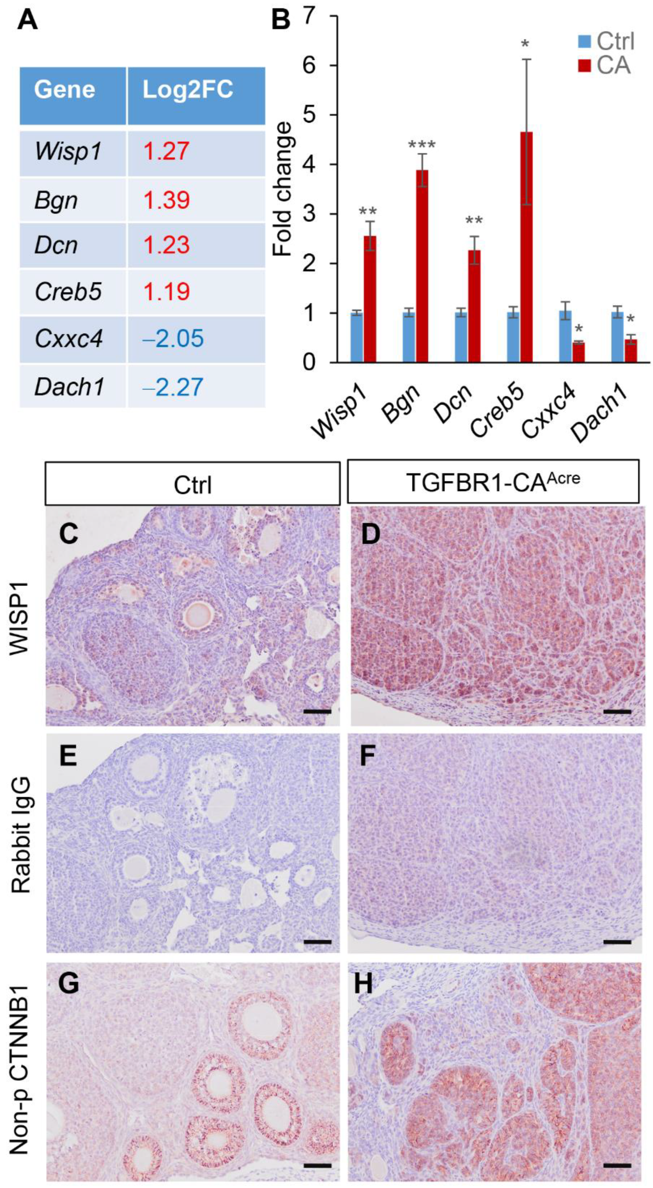 Cancers 14 02184 g004 Cancers 14 02184 g004