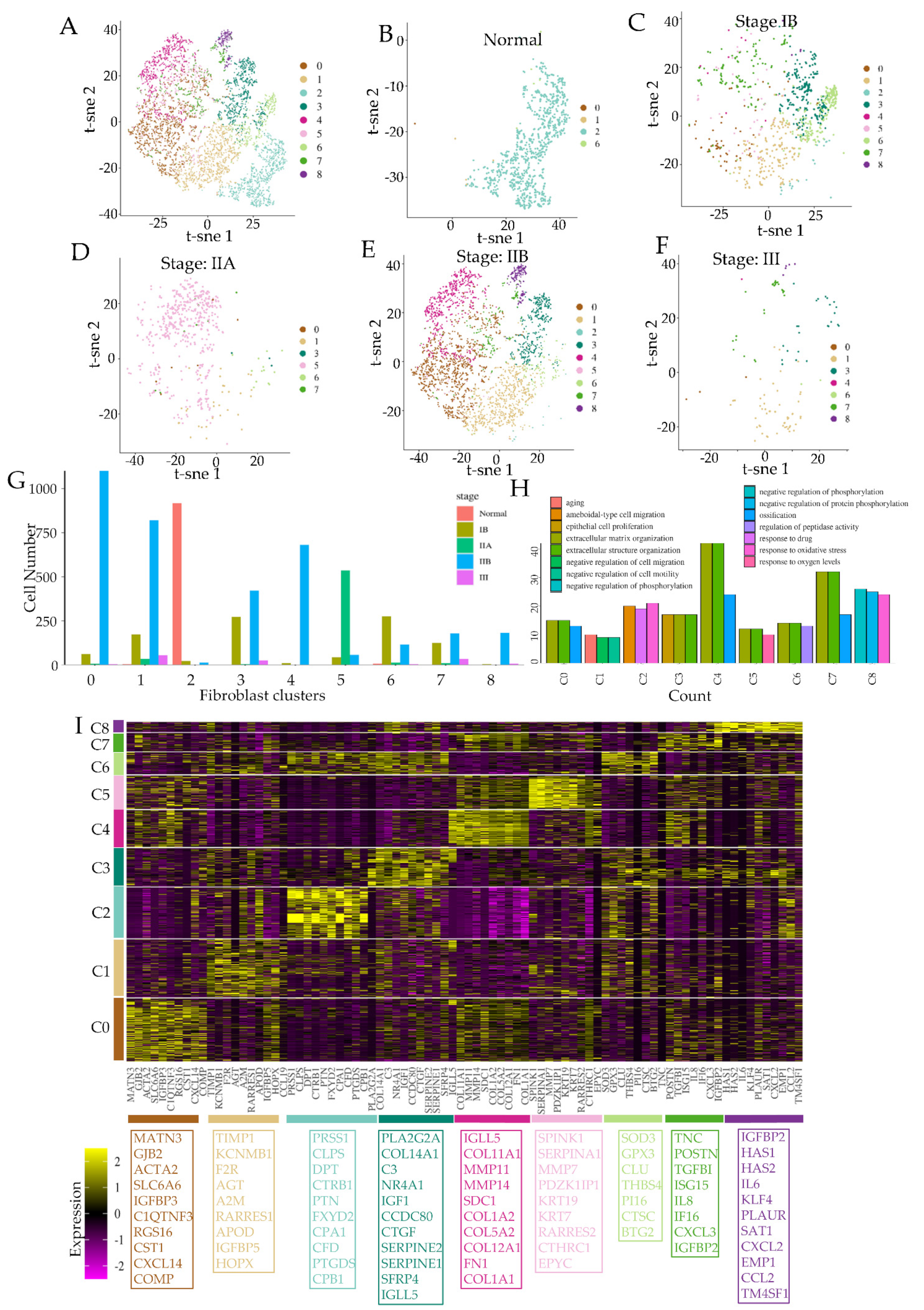 Cancers 14 02197 g001 Cancers 14 02197 g001